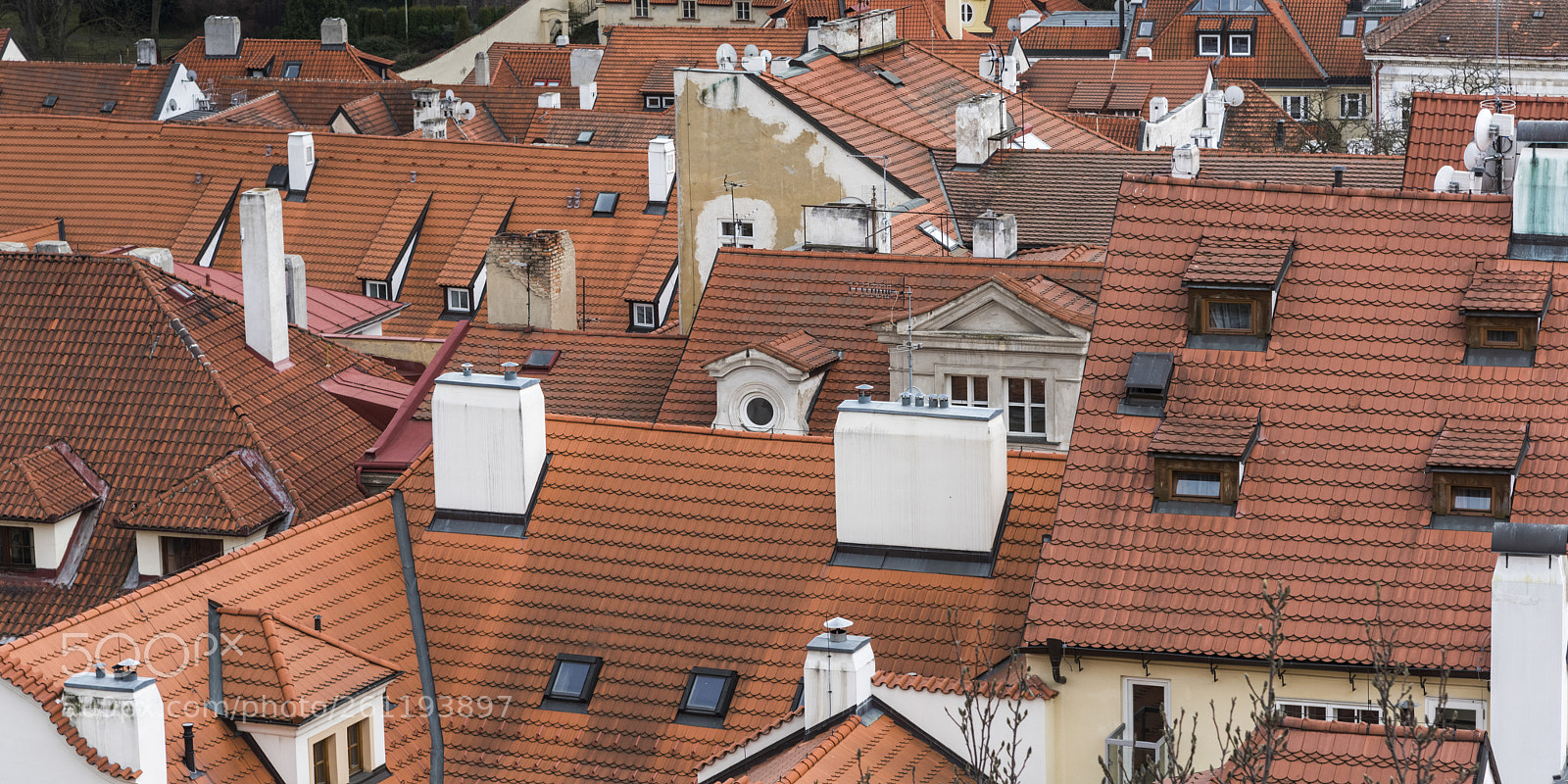 Nikon D810 sample photo. View of buildings in photography