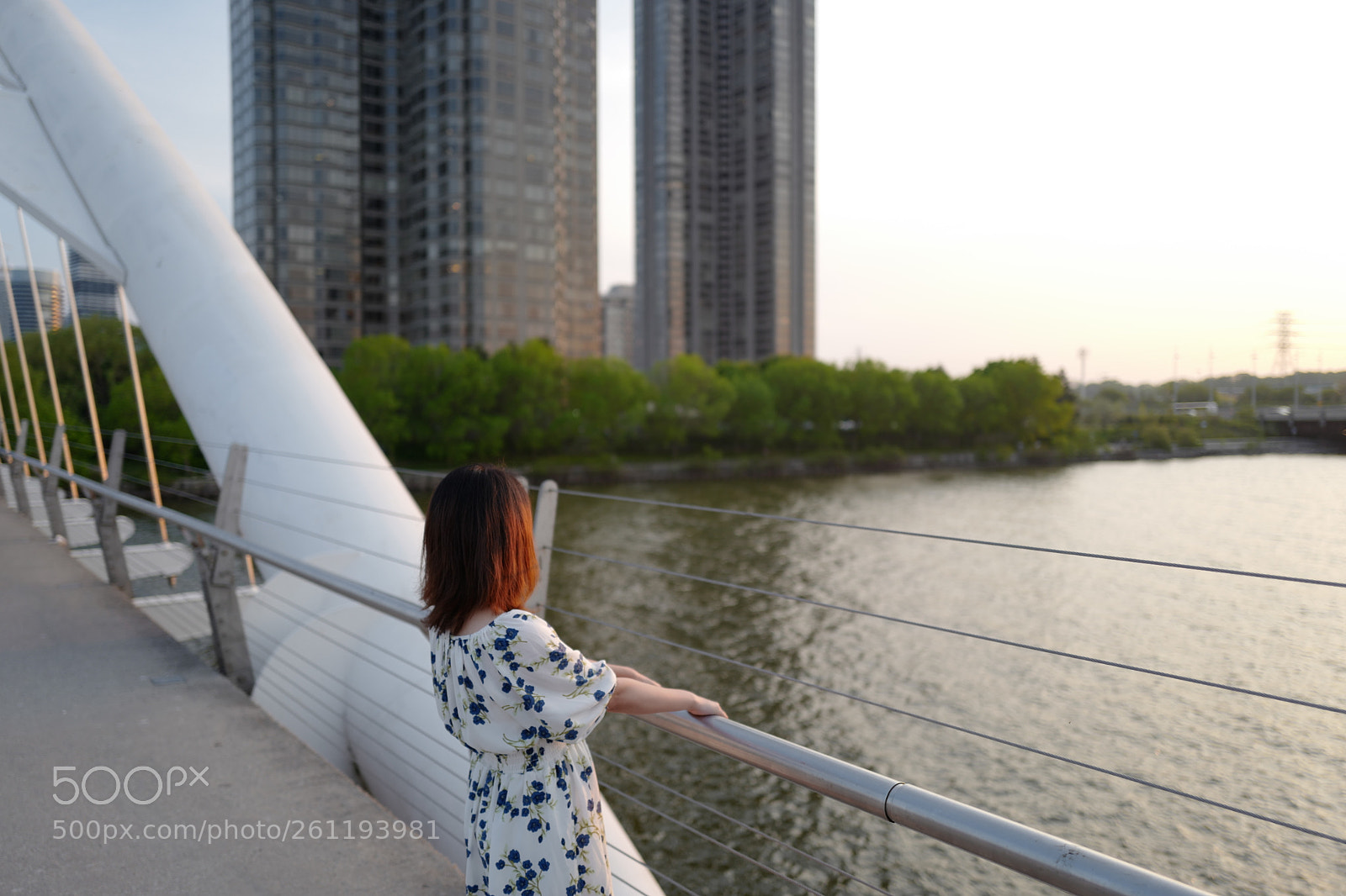 Leica Q (Typ 116) sample photo. Untitled photography
