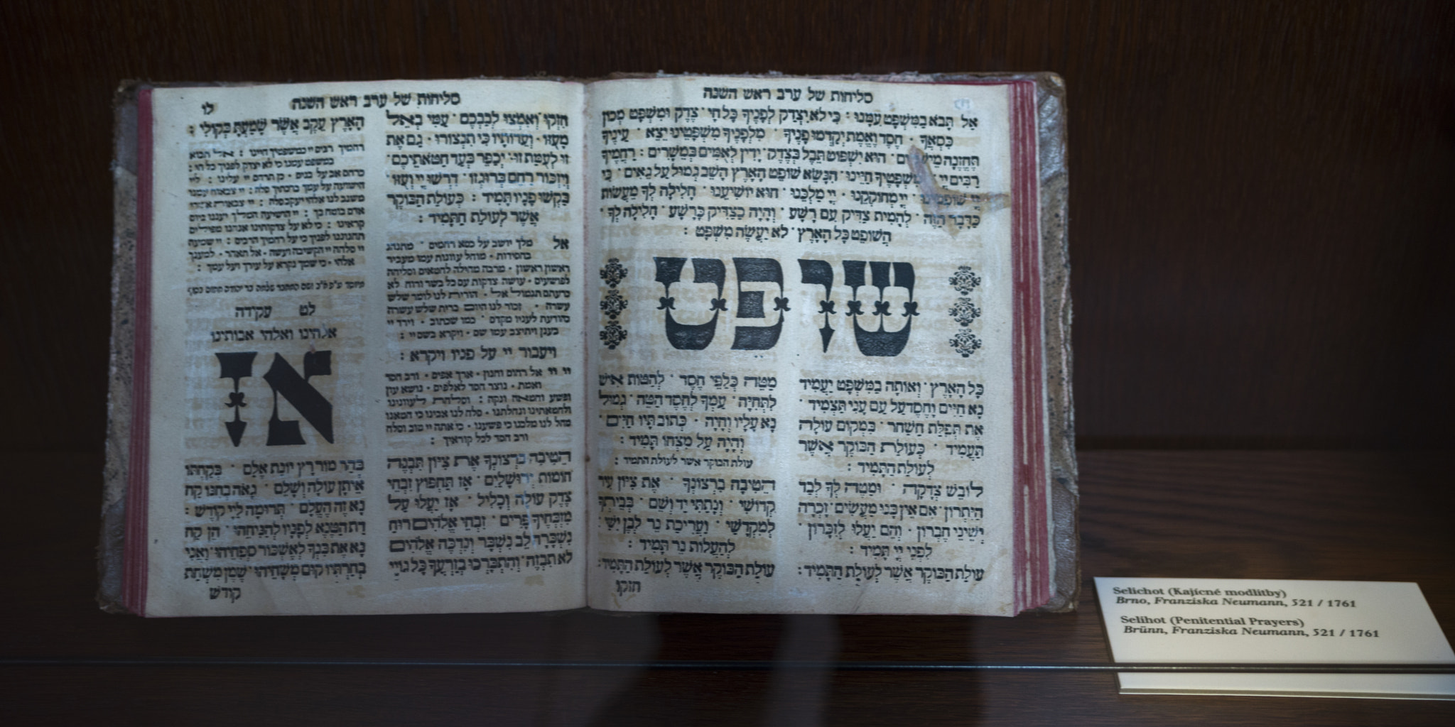 Hasselblad X1D-50c sample photo. Selichot- jewish poems and prayers, klausen synagogue, prague, c photography