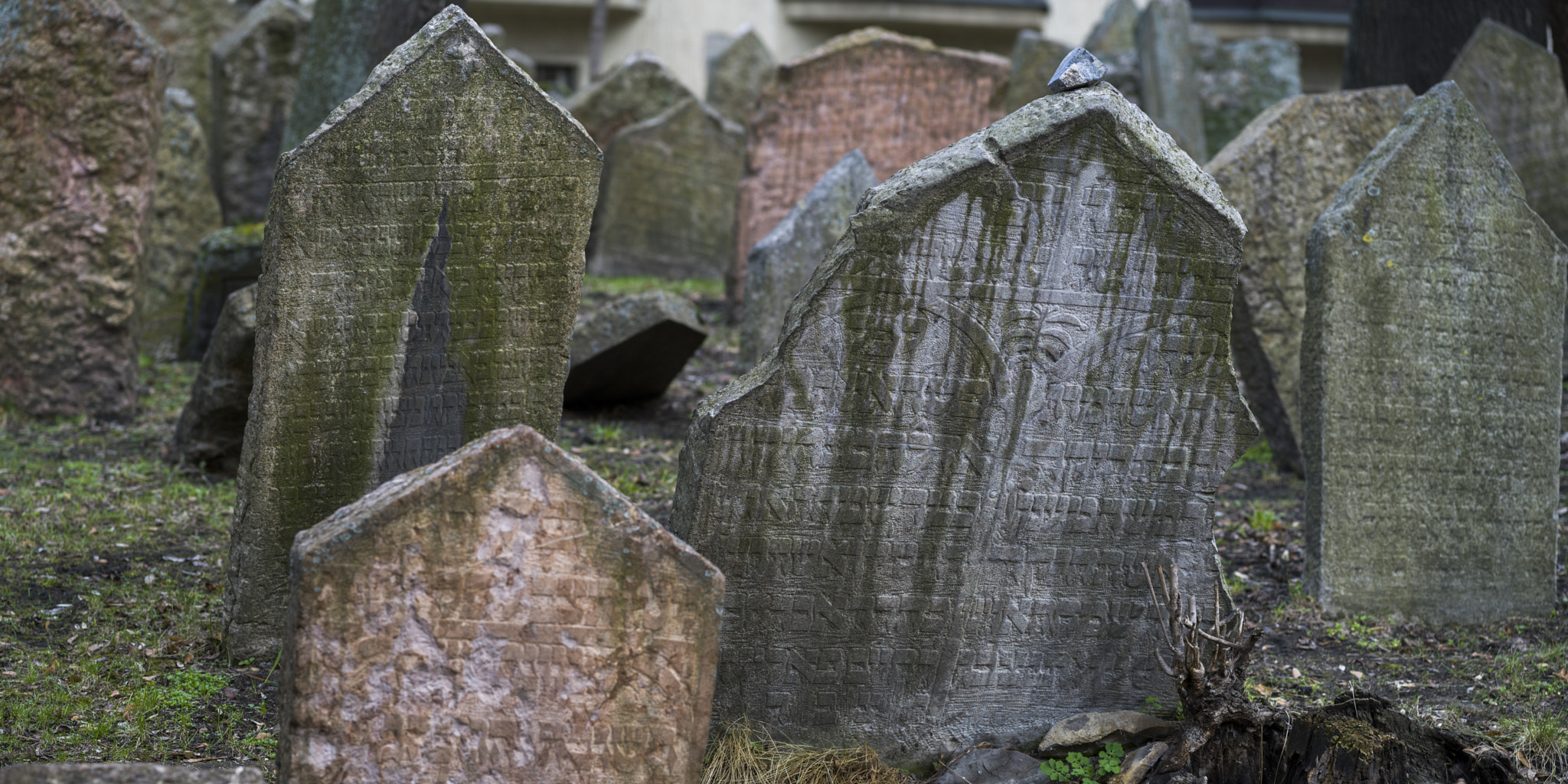 Hasselblad X1D-50c sample photo. Gravestones in old jewish cemetery, prague, czech republic photography