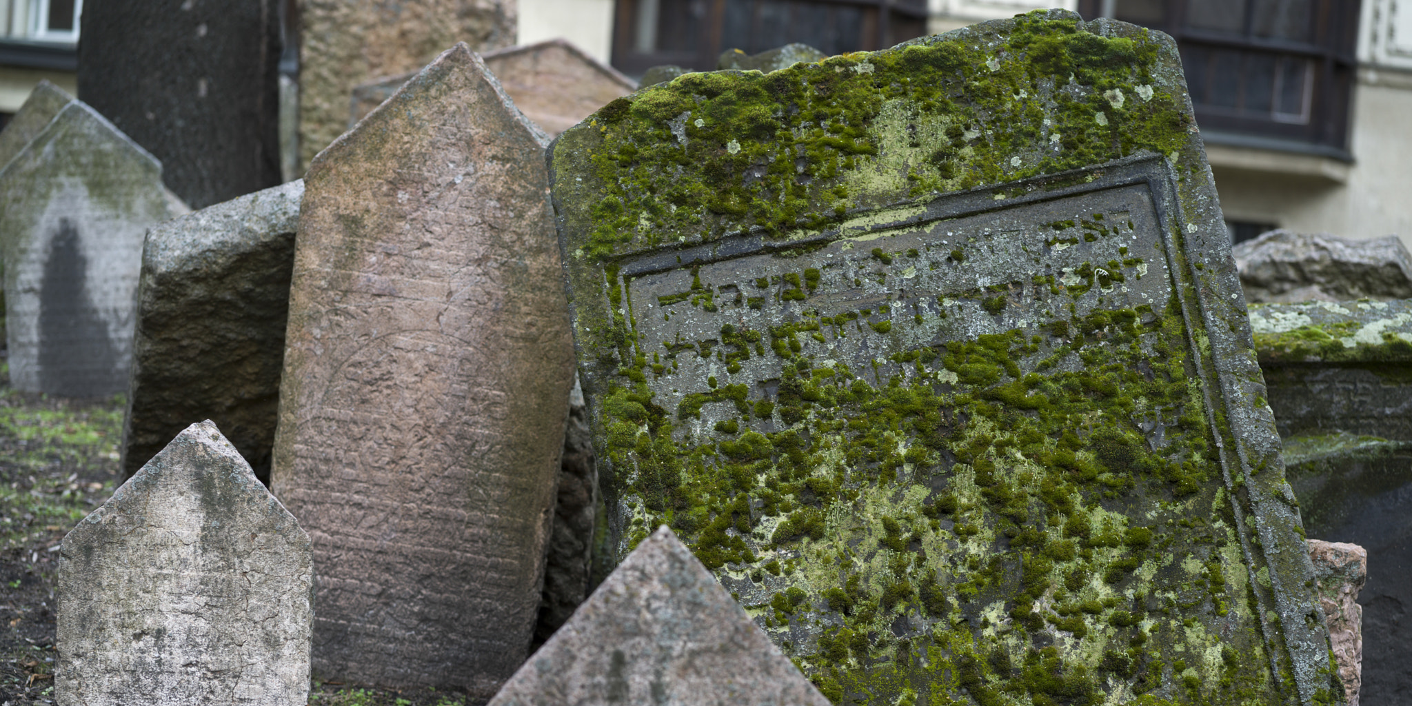 Hasselblad X1D-50c sample photo. Gravestones in old jewish cemetery, prague, czech republic photography