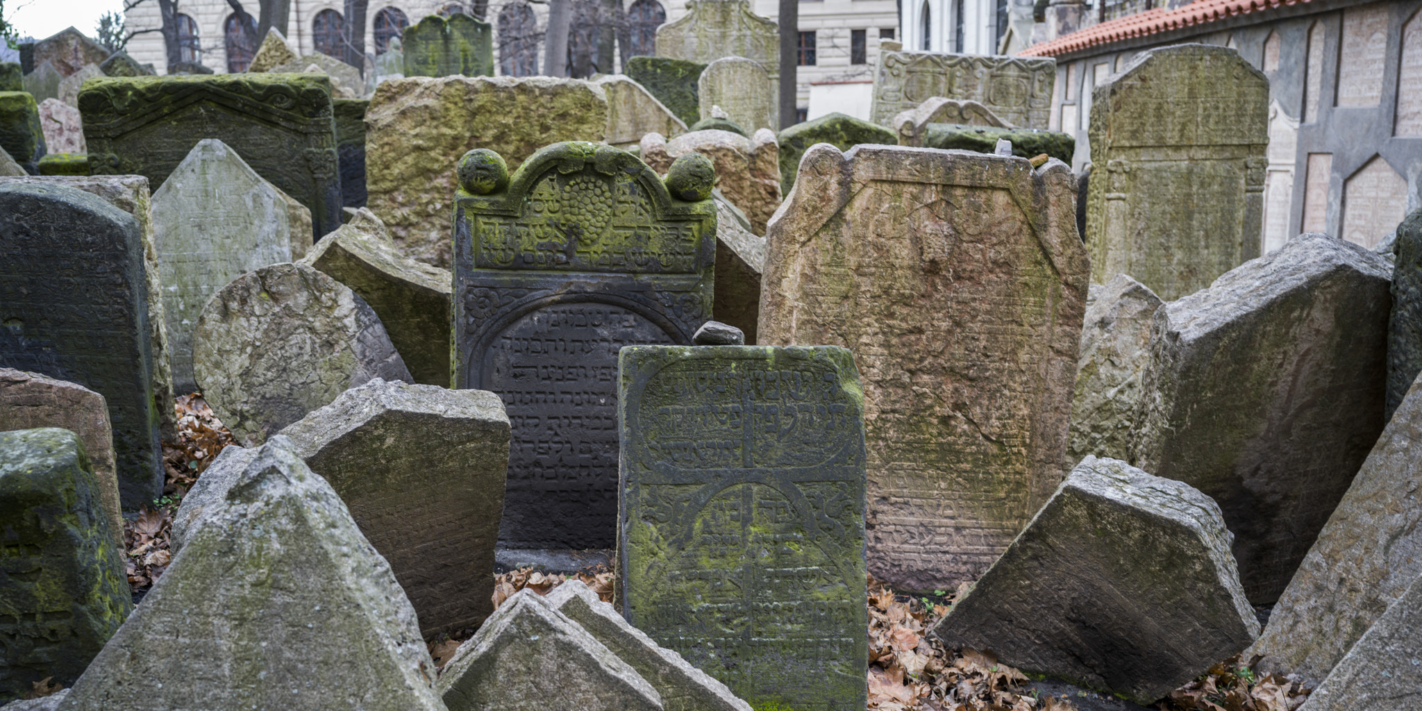 Hasselblad X1D-50c sample photo. Gravestones in old jewish cemetery, prague, czech republic photography