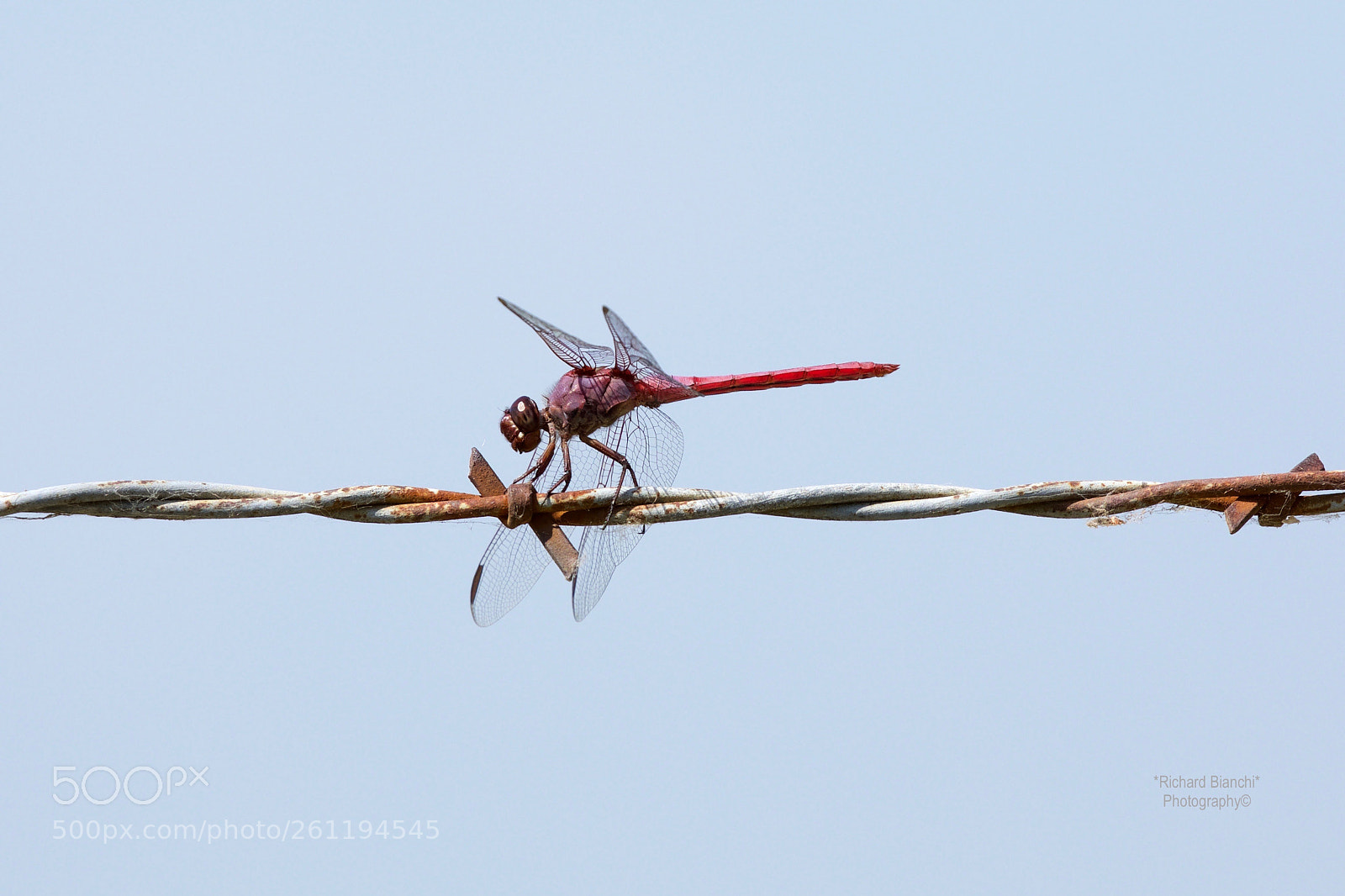 Canon EOS 5D Mark IV sample photo. Ga photography