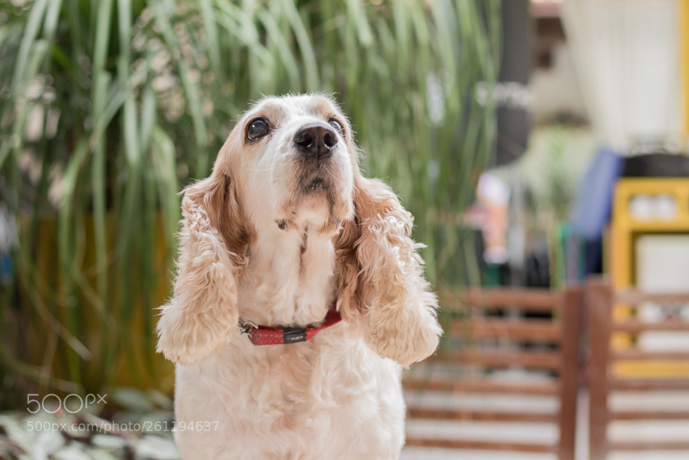 Canon EOS 80D sample photo. Img_9873-19.jpg photography