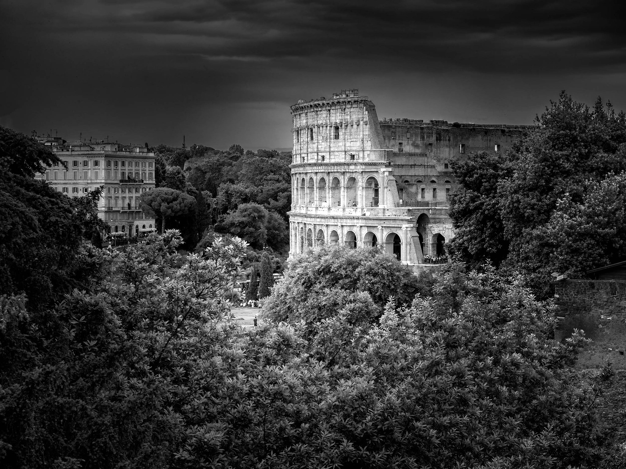 Olympus PEN-F sample photo. Colosseum, roma photography