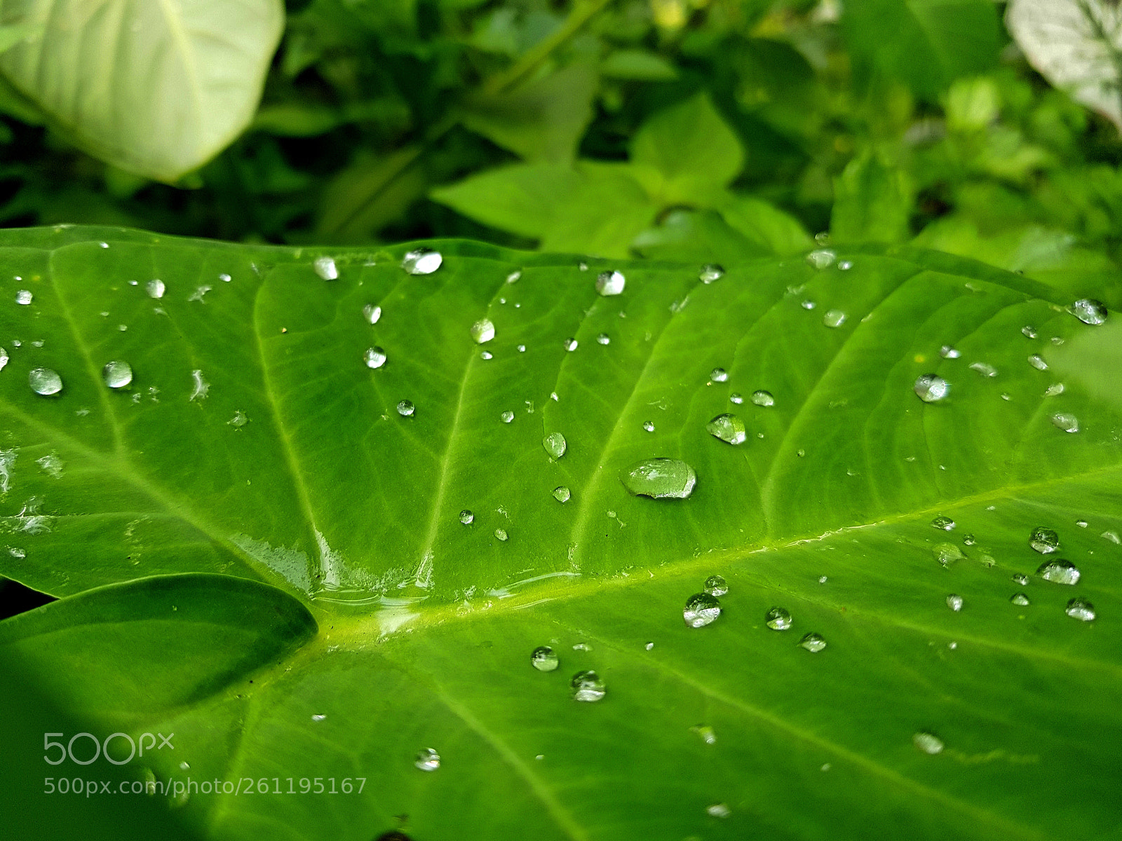 Samsung Galaxy S8 sample photo. Untitled photography