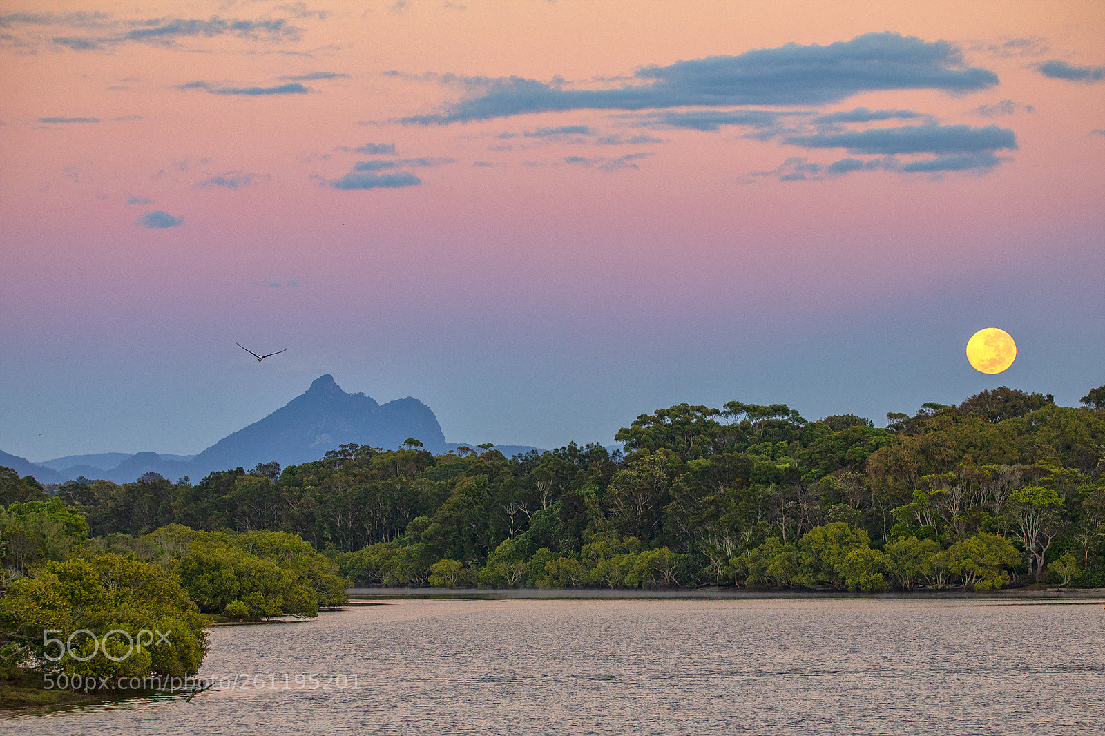 Canon EOS 5D Mark IV sample photo. Kingscliff photography