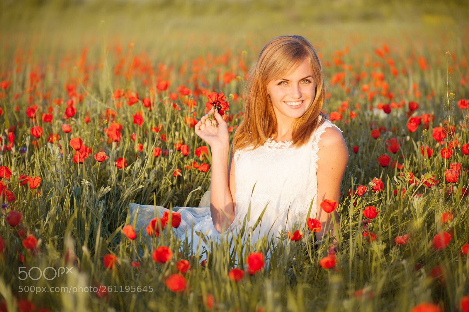Canon EOS 5D Mark II sample photo. Poppy field photography
