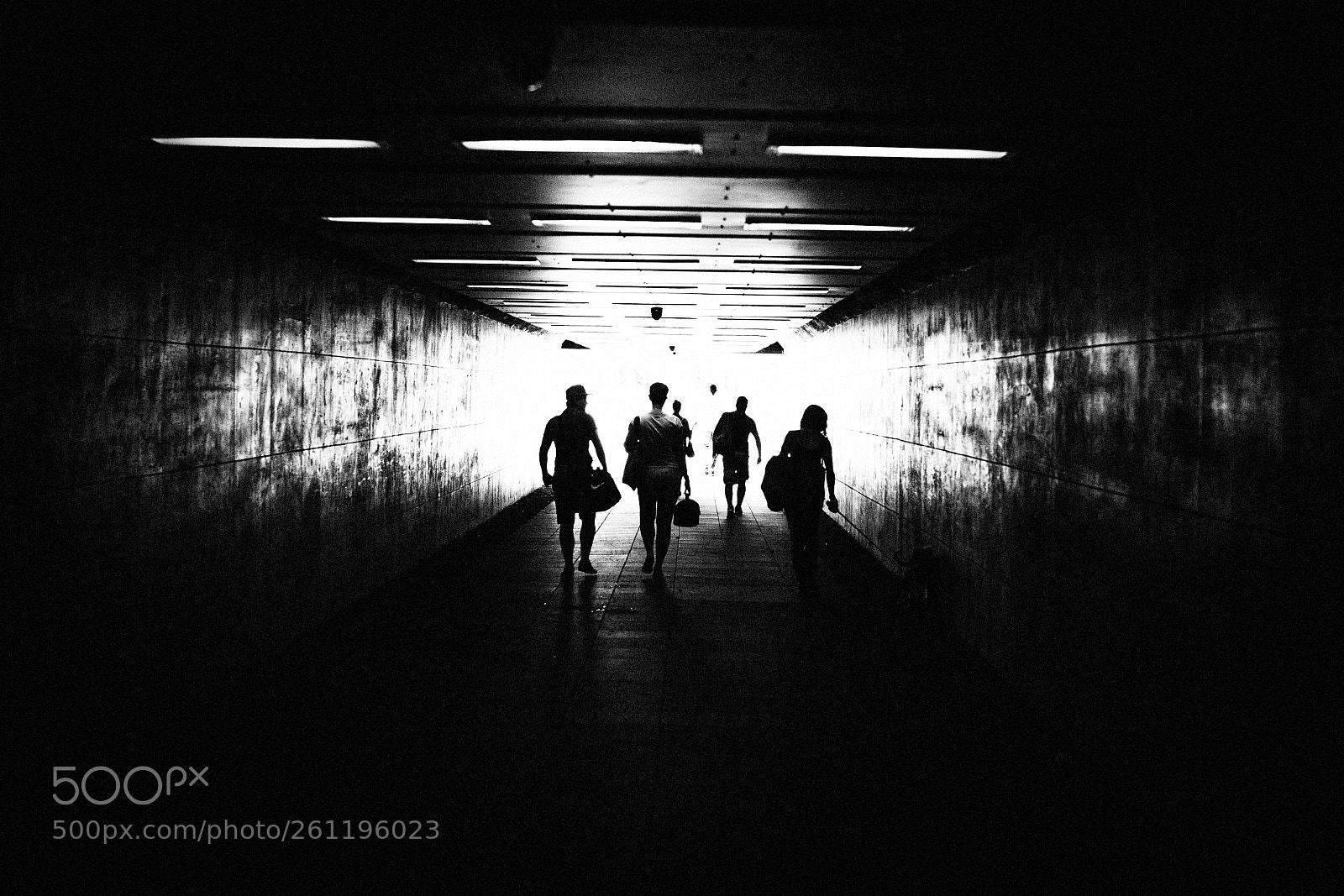 Canon EOS 6D Mark II sample photo. An idiom that we photography