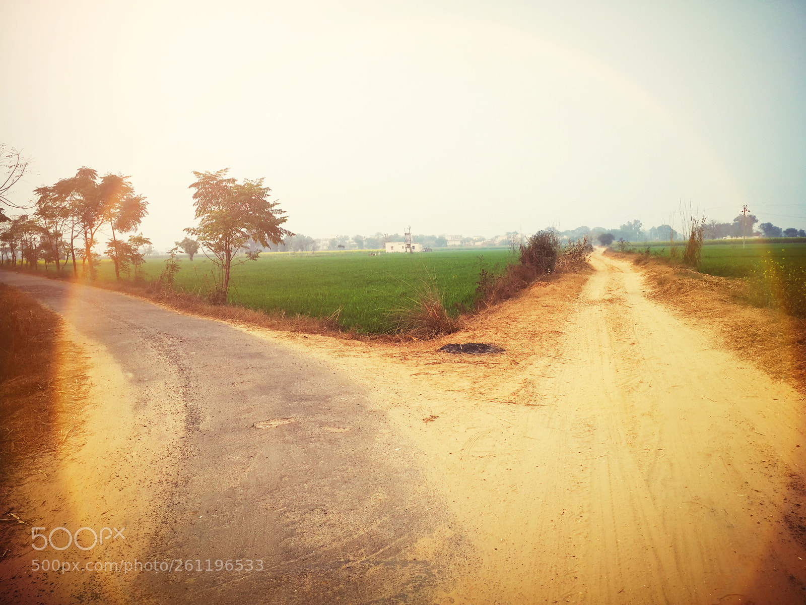 Samsung Galaxy S4 sample photo. W@ys photography