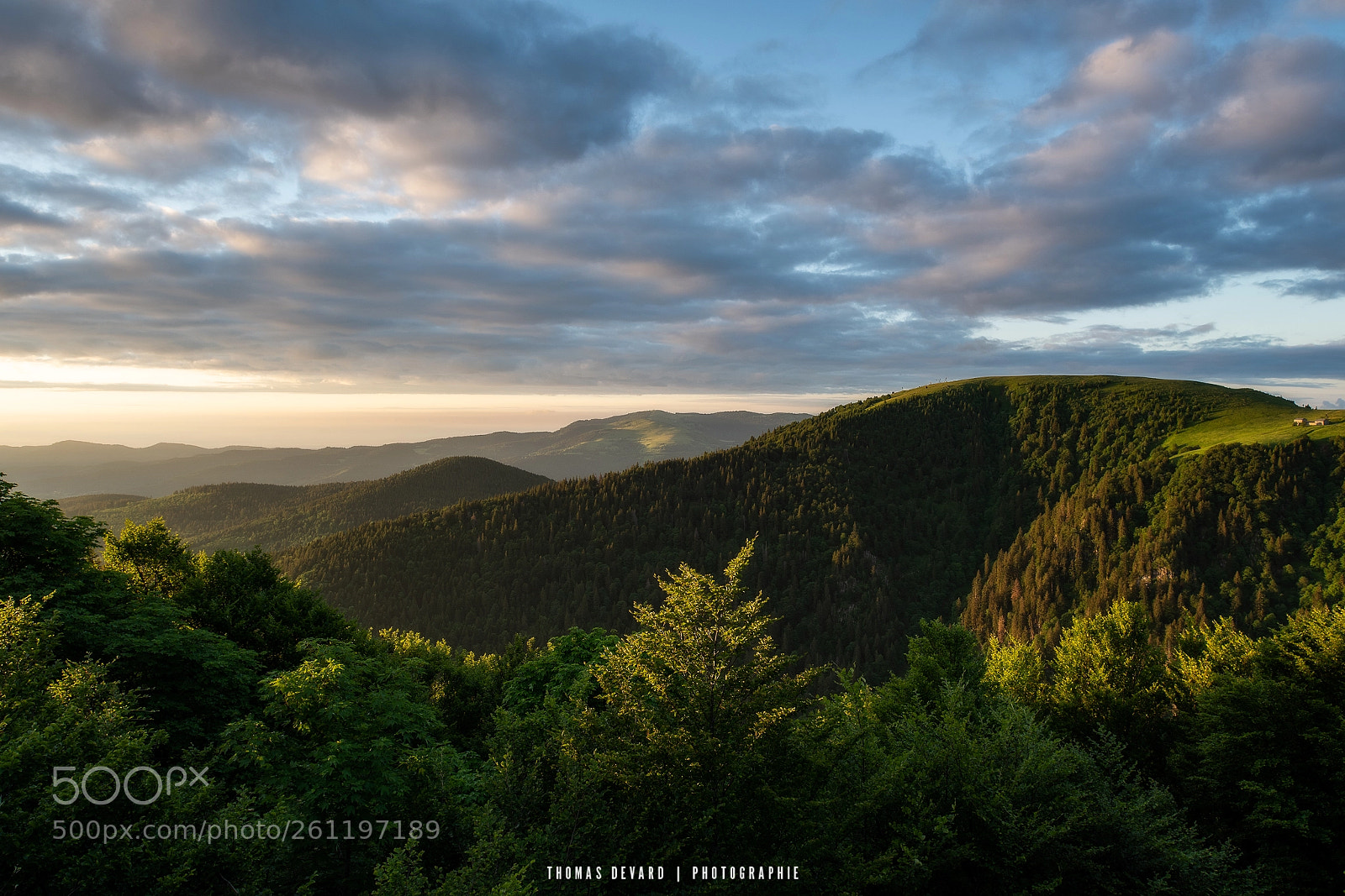 Nikon D810 sample photo. Vosges mountain photography
