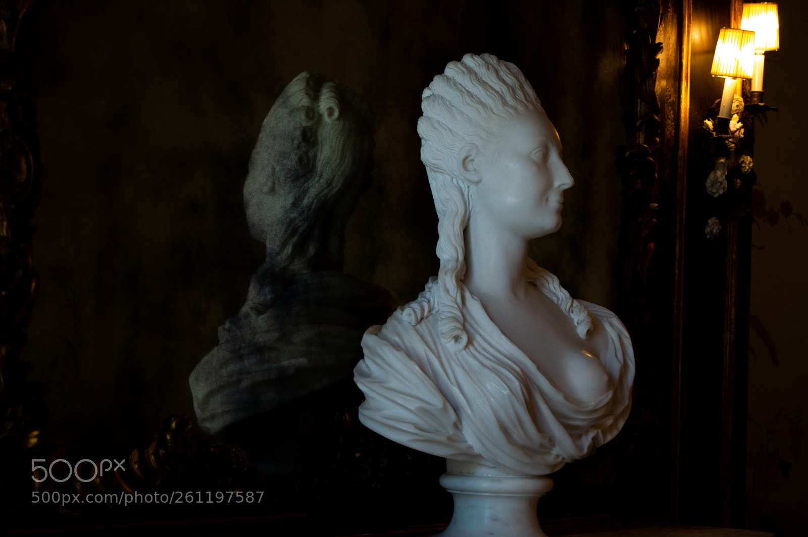 Nikon D3200 sample photo. Reflected bust photography