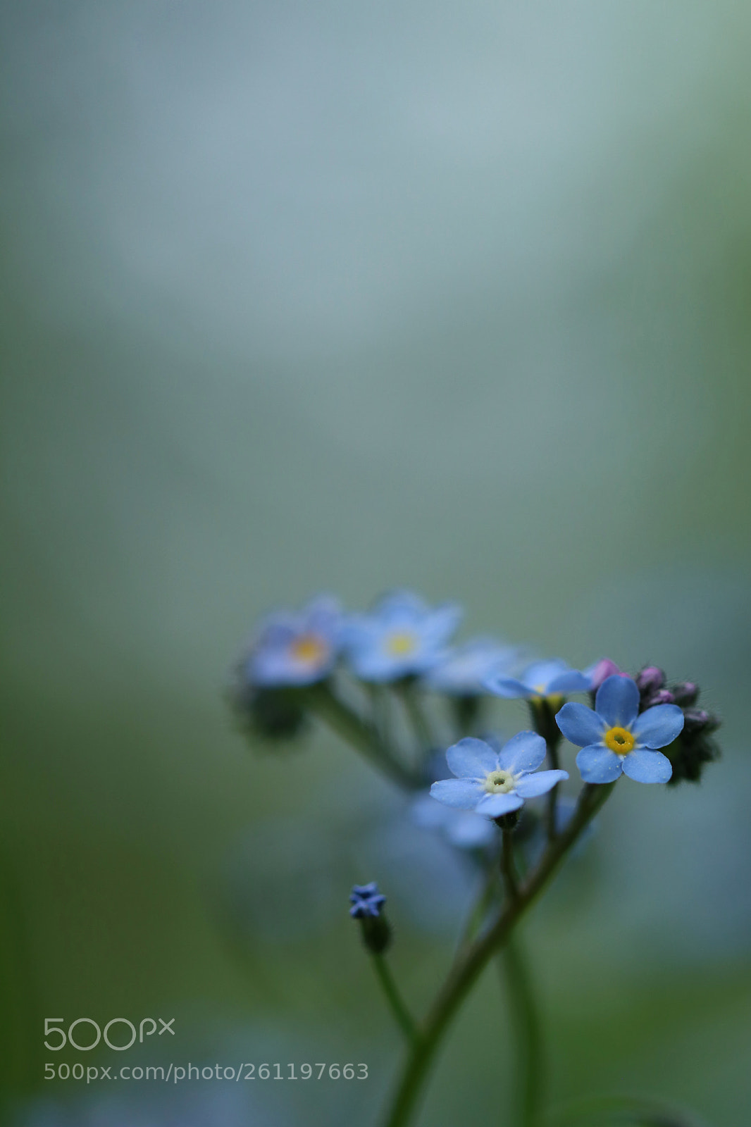 Canon EOS 80D sample photo. Blue helix photography