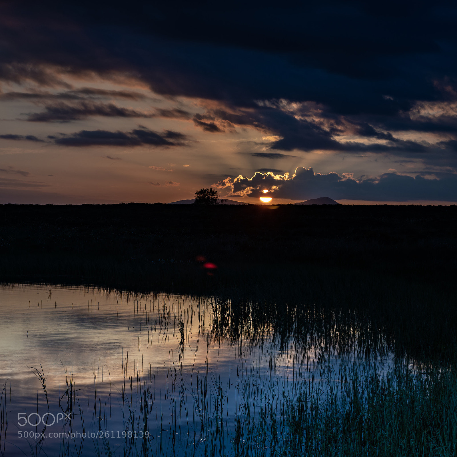 Nikon D850 sample photo. Sunset photography