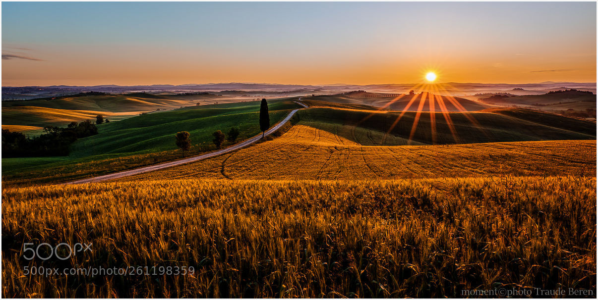 Canon EOS 5D Mark IV sample photo. Der sonne entgegen photography