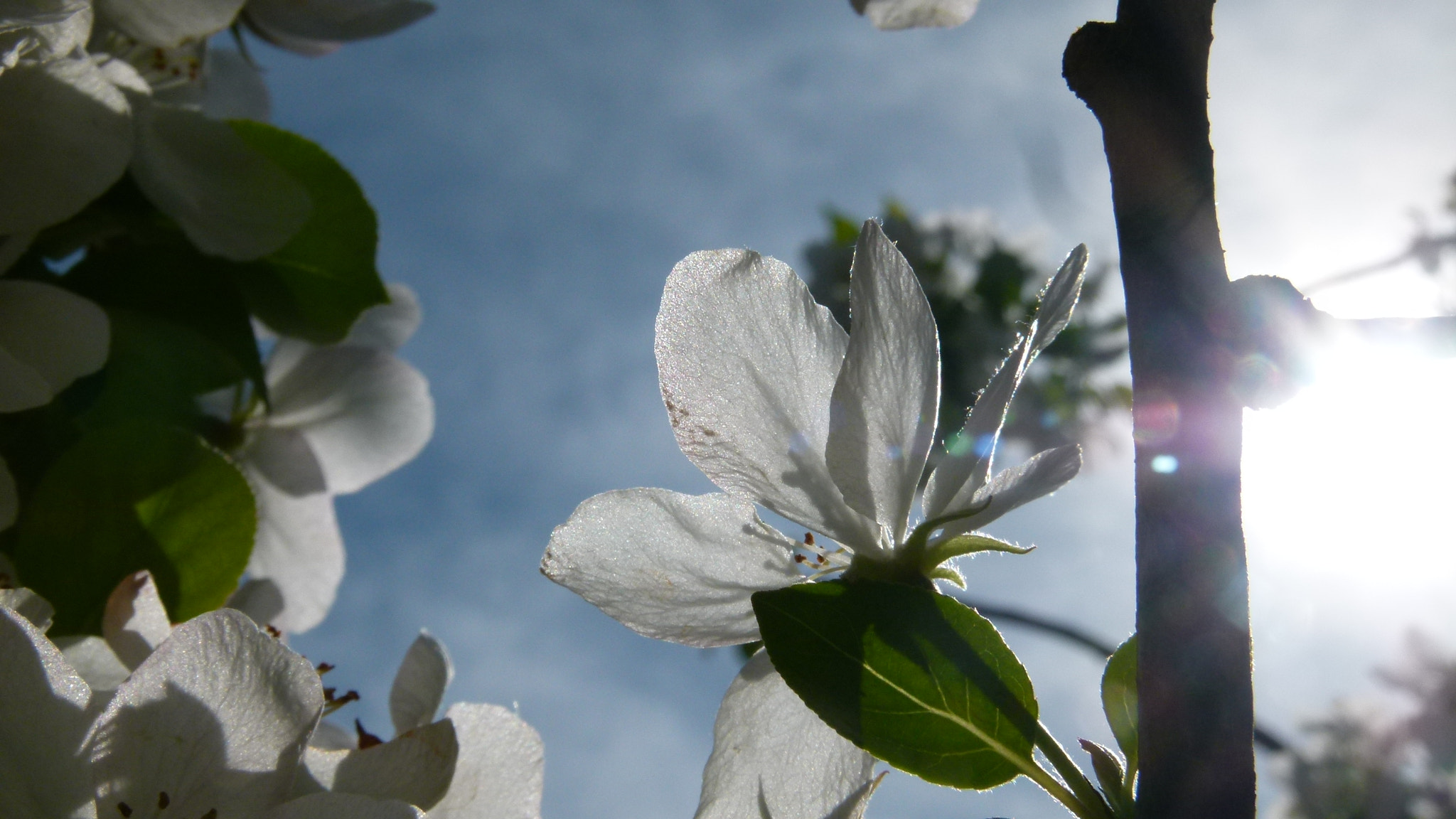 Leica V-Lux 2 sample photo