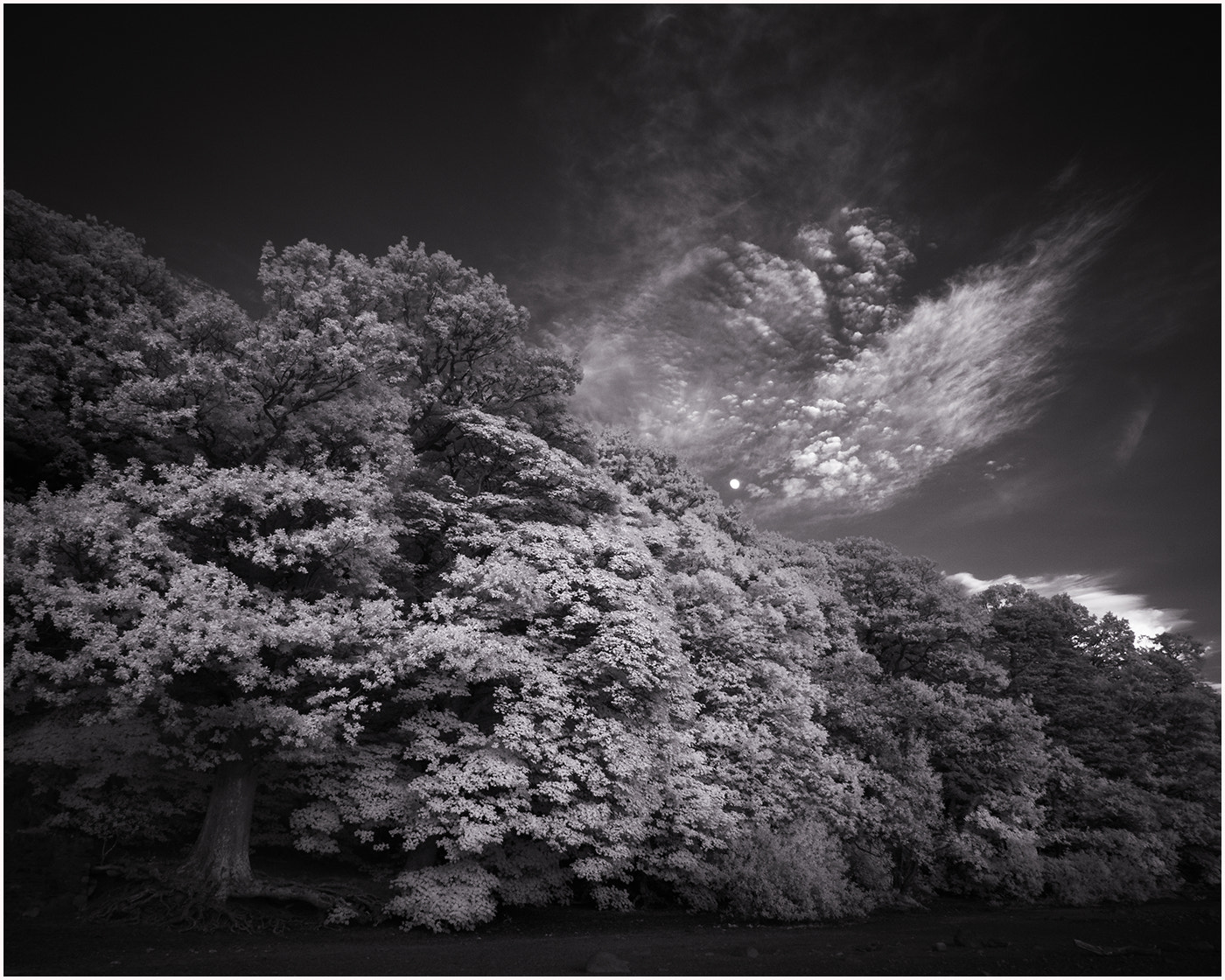 Panasonic Lumix DMC-GF6 sample photo. Derwent water photography