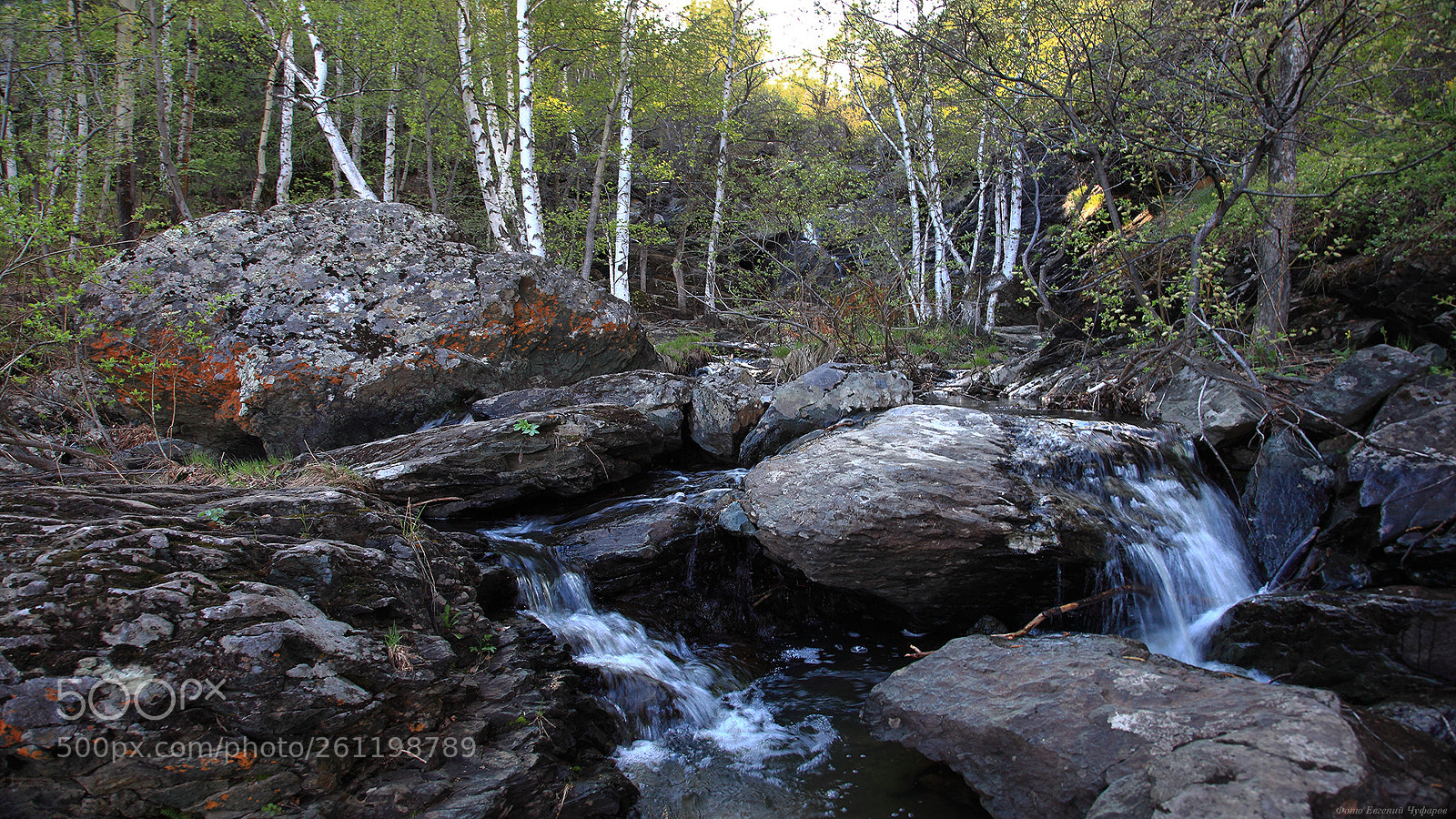 Canon EOS 5D Mark II sample photo. Forest stream photography