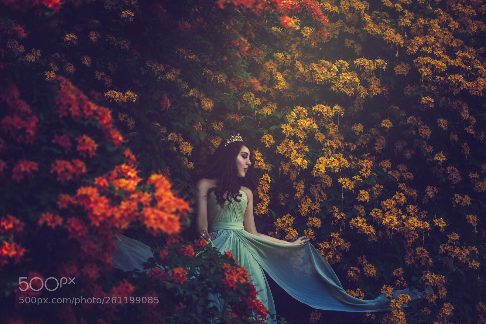 Nikon D810 sample photo. Castle of flowers photography