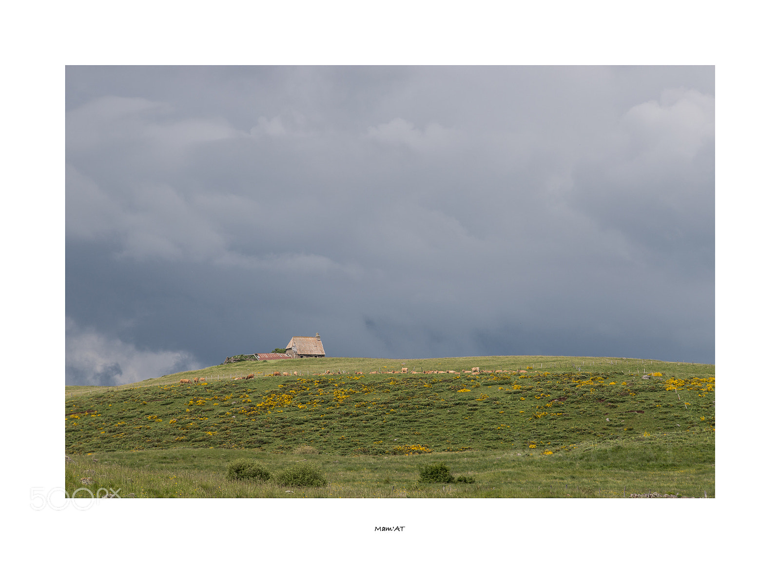 Canon EOS 6D Mark II sample photo. Sur la colline photography