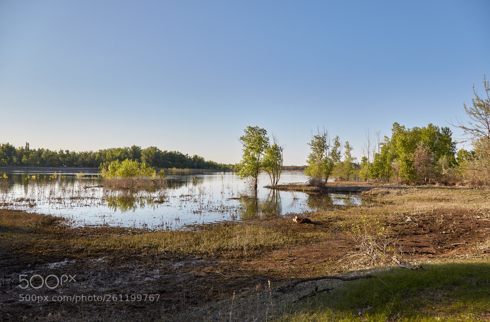 Canon EOS 6D sample photo. The volga-akhtuba floodplain photography