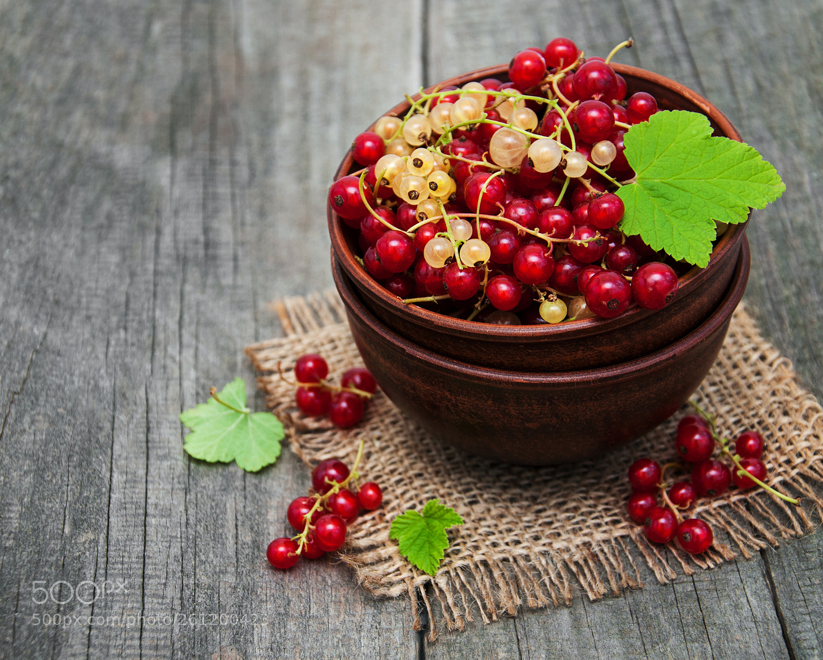 Nikon D90 sample photo. Bowl with red currant photography