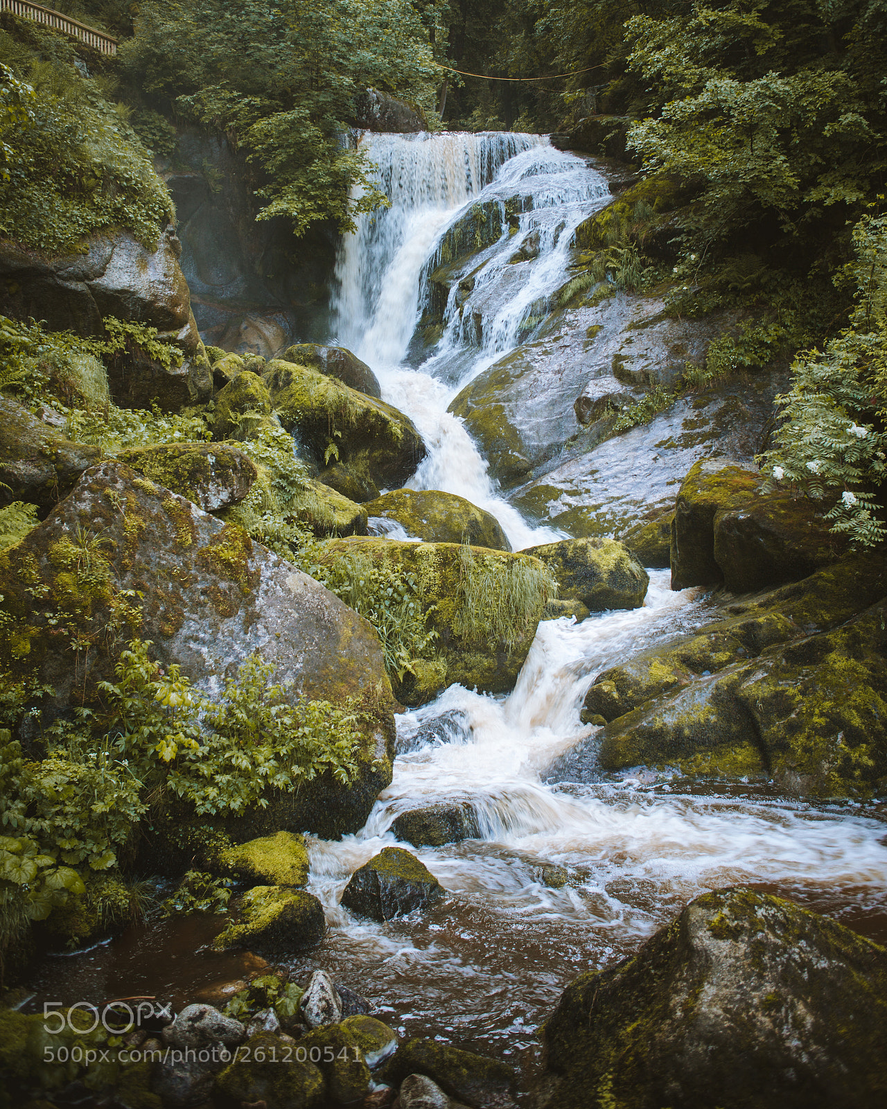 Canon EOS 5D Mark II sample photo. Floating water. photography