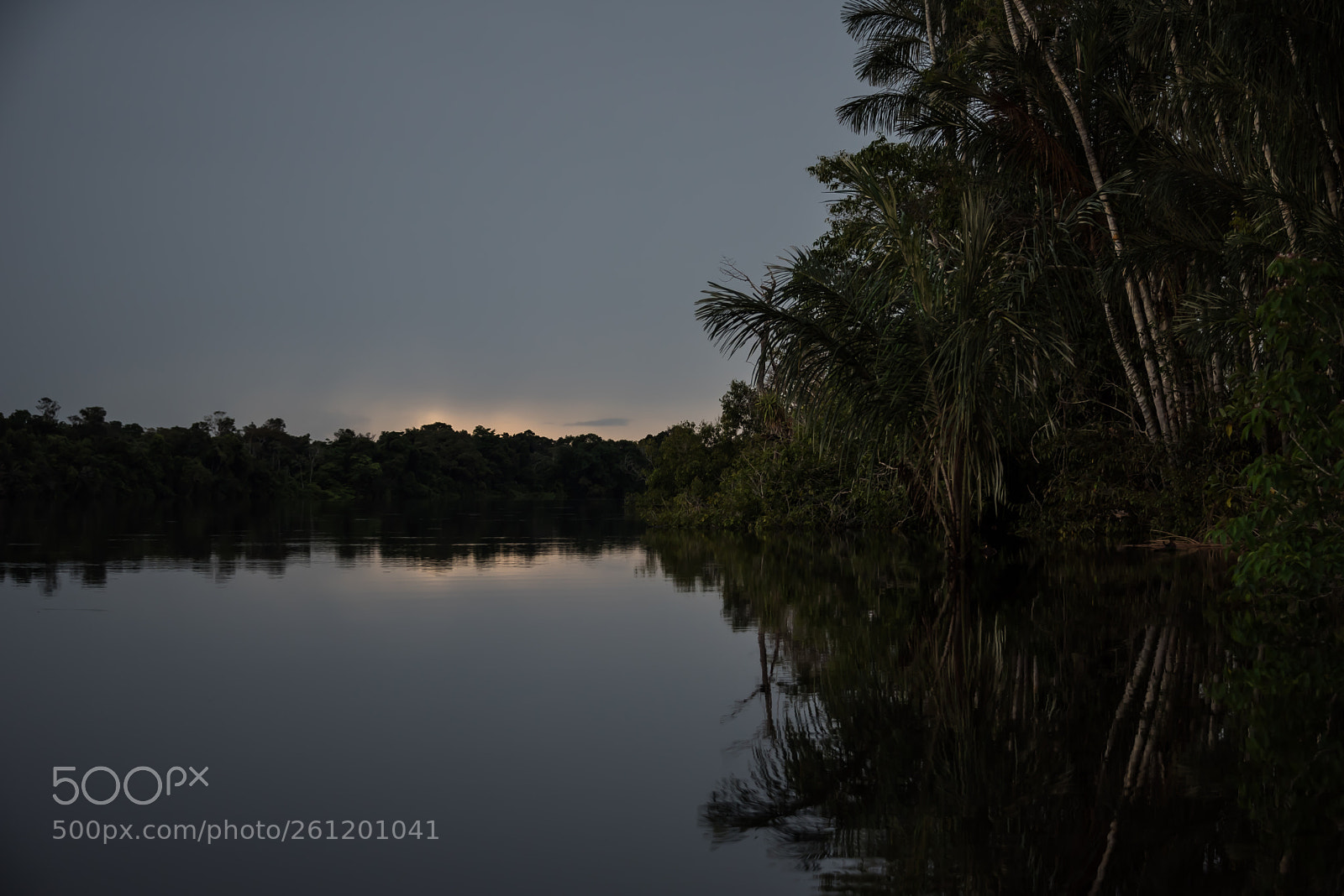 Nikon D750 sample photo. Amazon - igarapé xixuaú photography