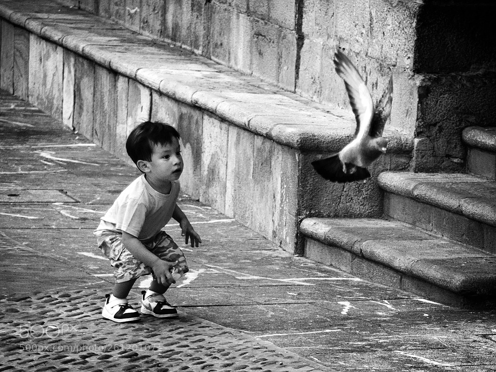 Nikon D5100 sample photo. Casi.... photography