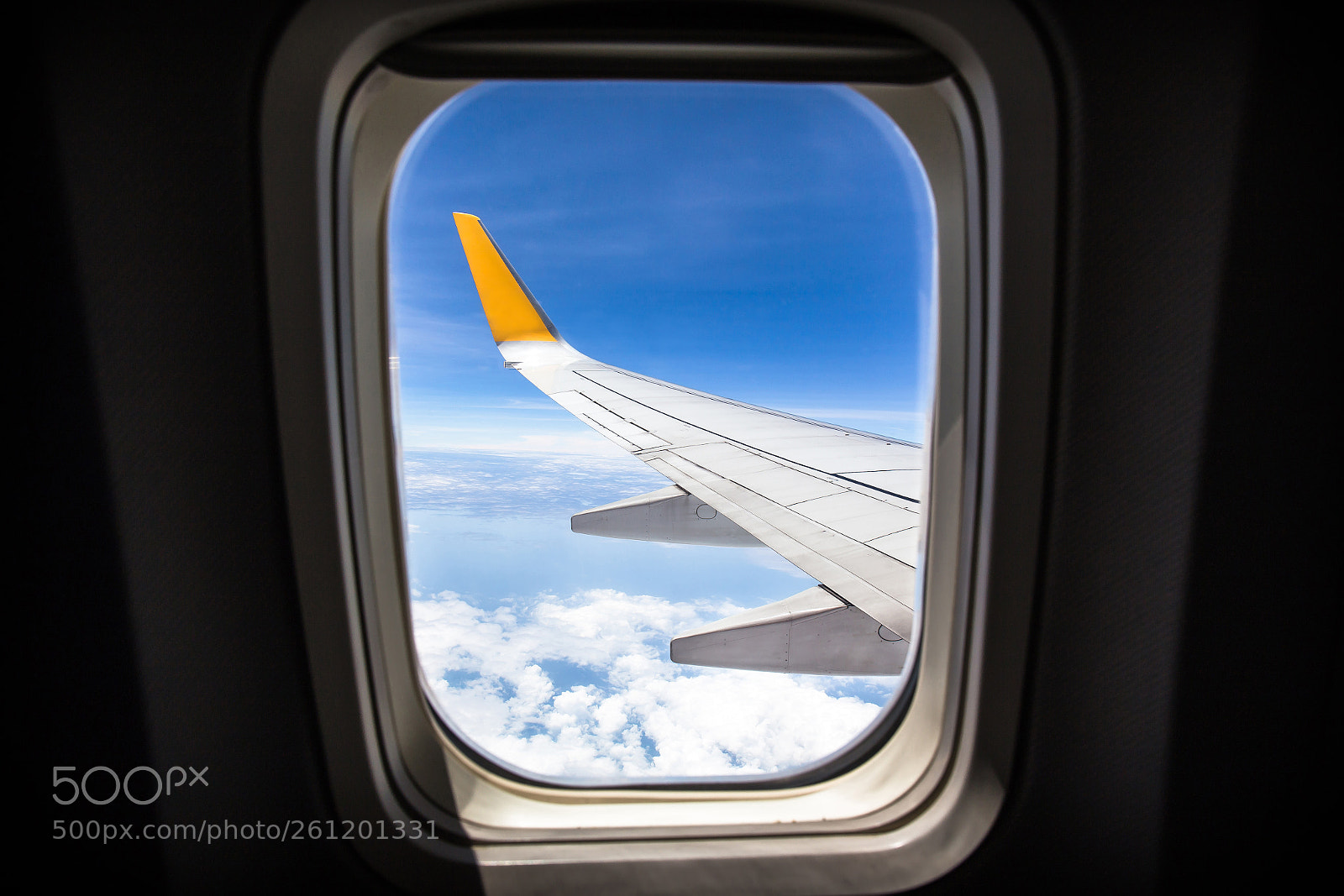 Canon EOS 6D sample photo. Viewpoint of windows airplane photography