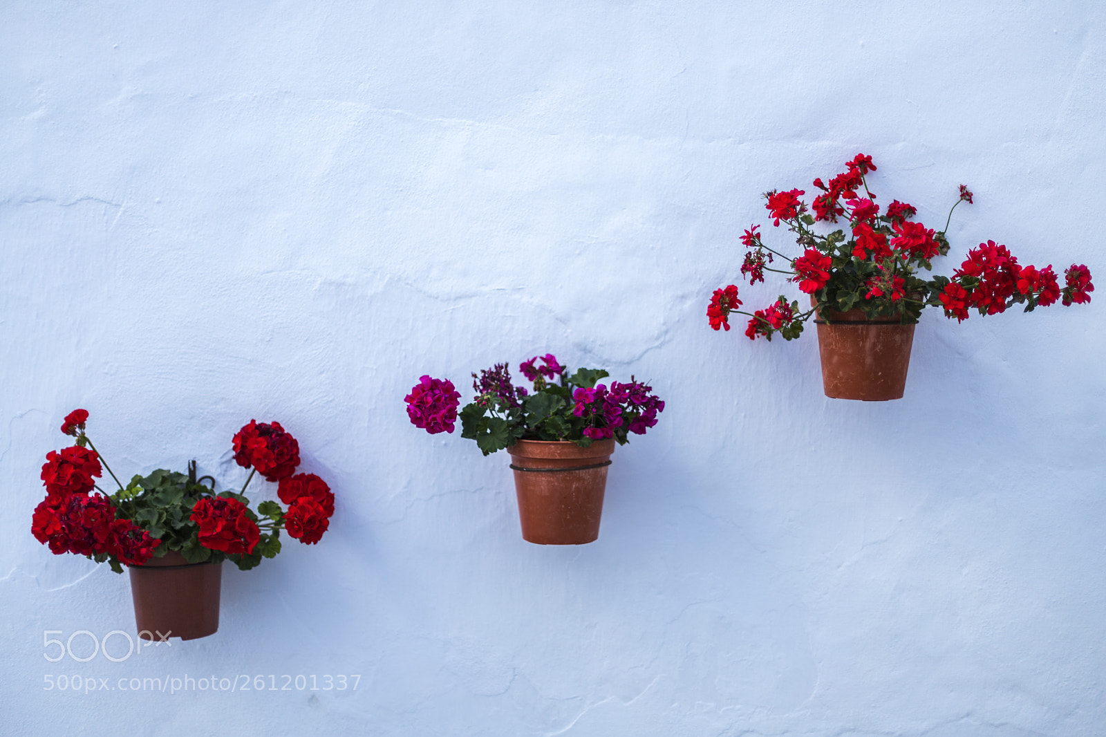 Canon EOS 6D Mark II sample photo. Untitled photography