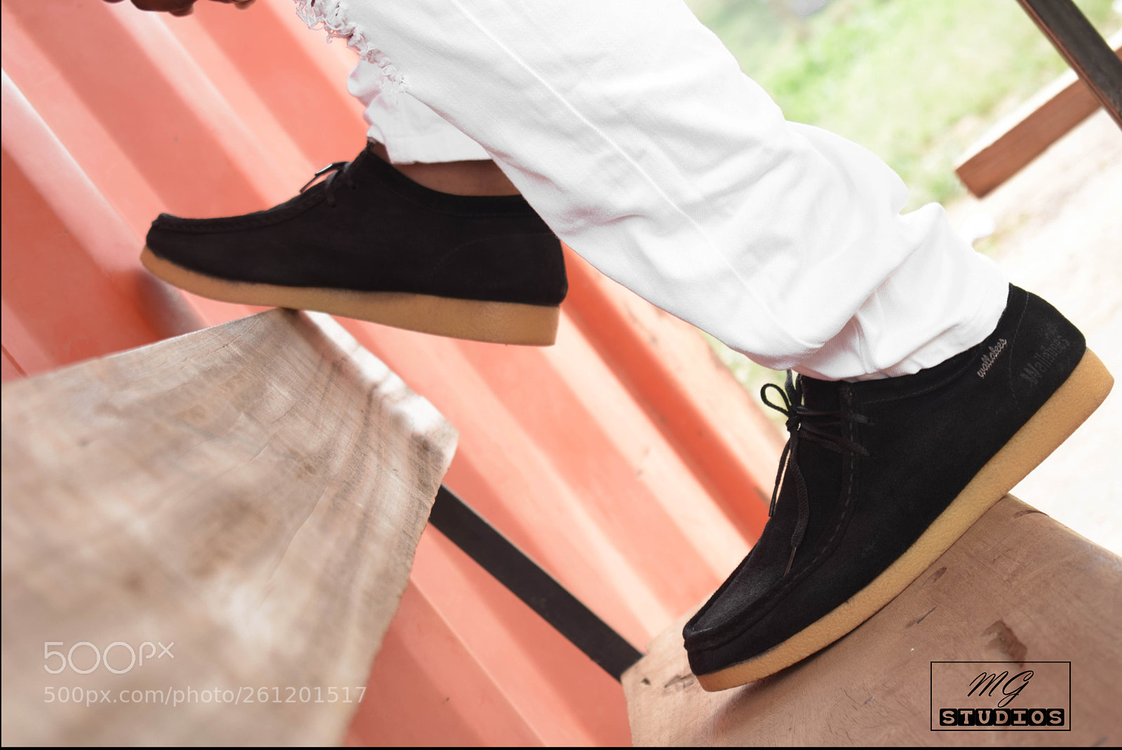 Nikon D3300 sample photo. Wallabist photography