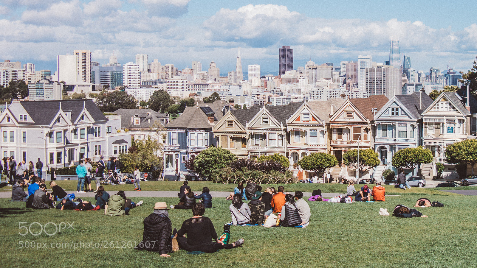 Samsung NX300 sample photo. San francisco photography