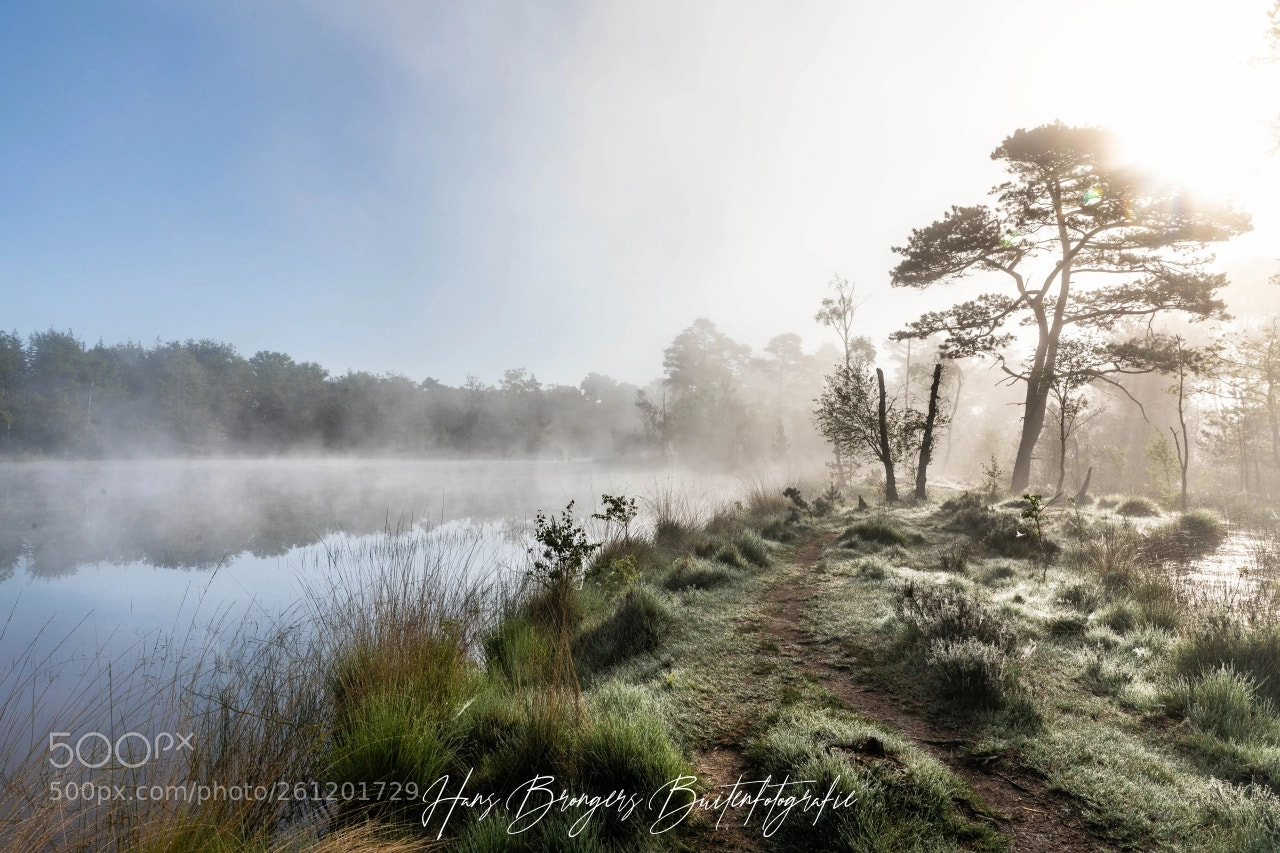 Canon EOS 5D Mark IV sample photo. Misty morning photography