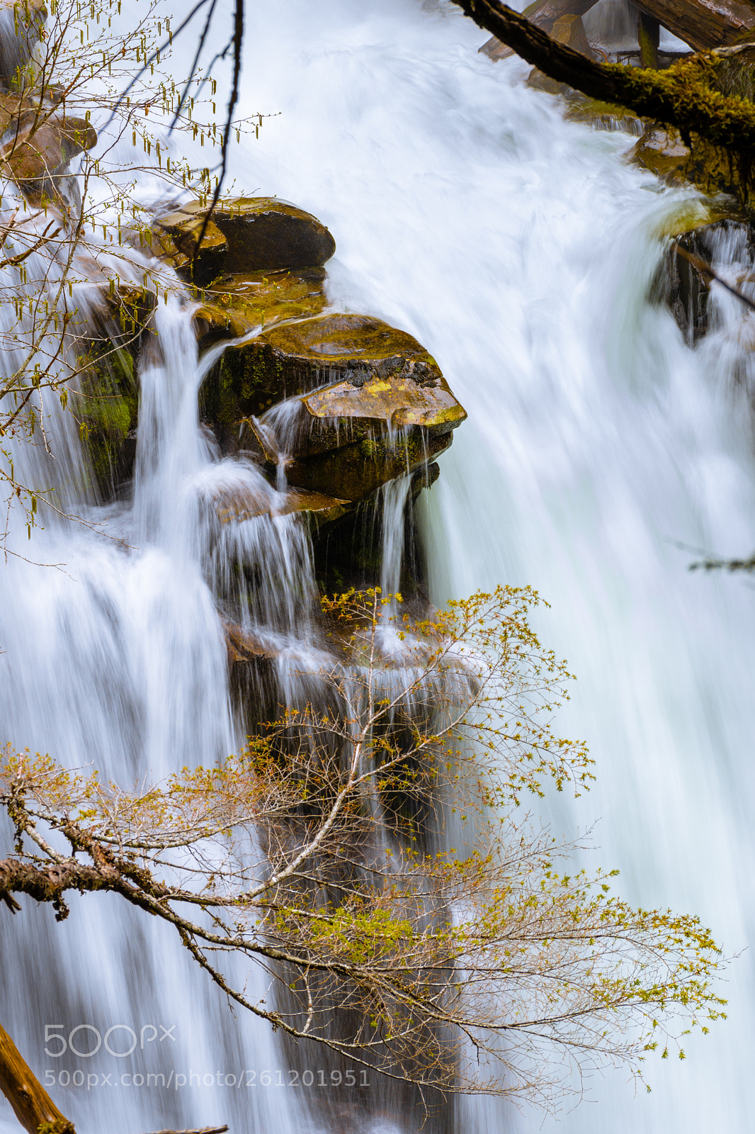 Nikon D7200 sample photo. Carter falls at mt photography
