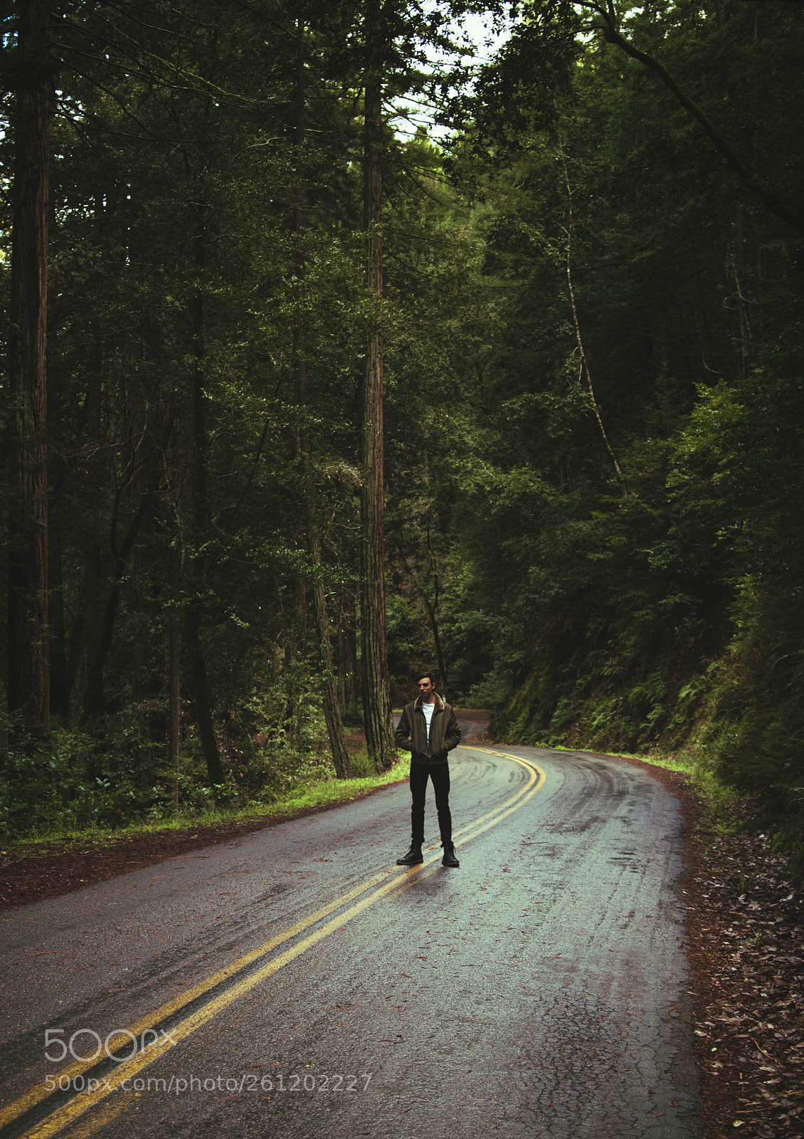 Nikon D5500 sample photo. Untitled photography