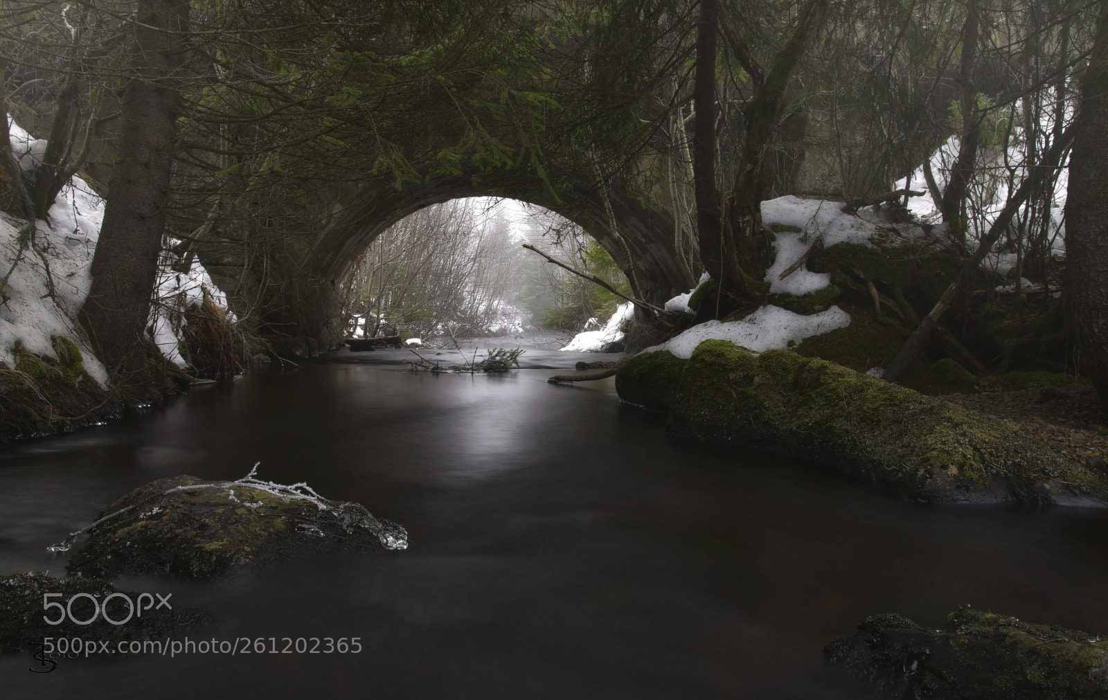 Nikon D750 sample photo. The arch photography