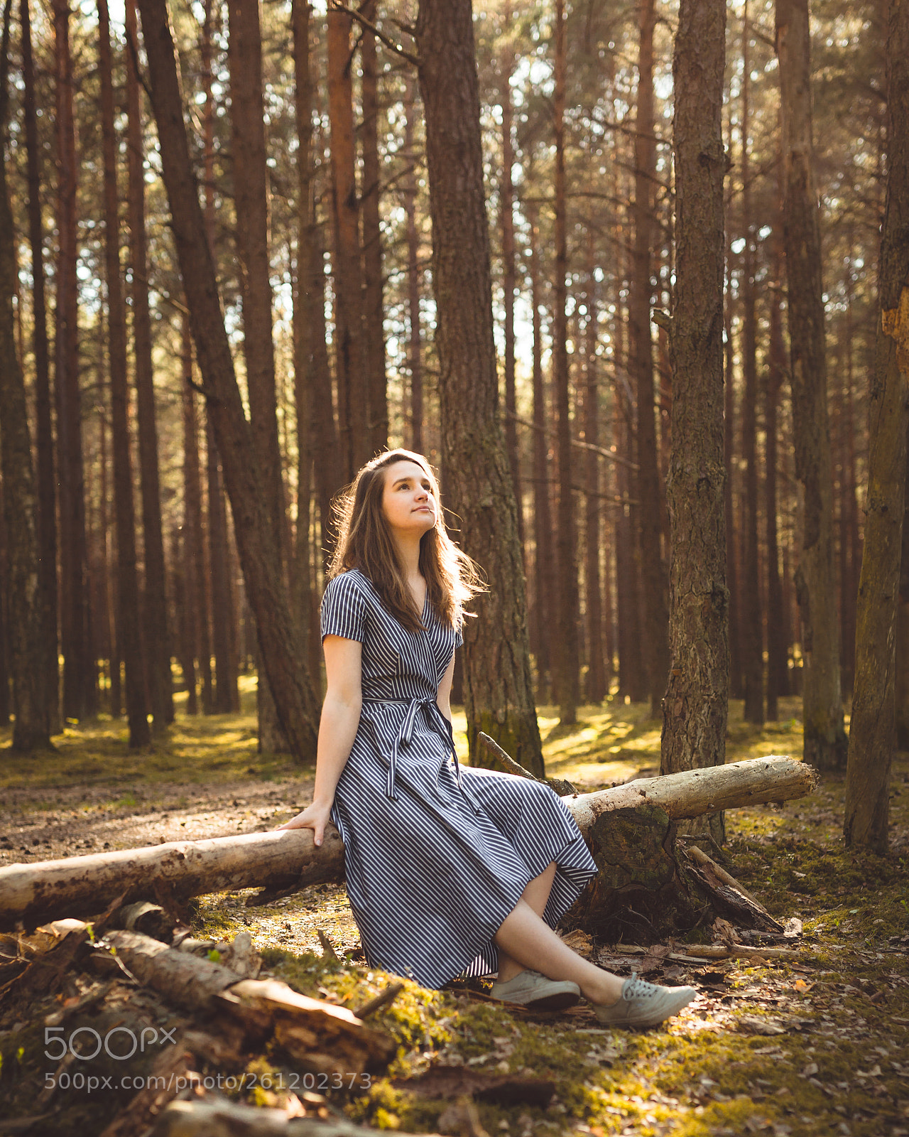 Canon EOS 6D sample photo. Enjoying the sun in photography