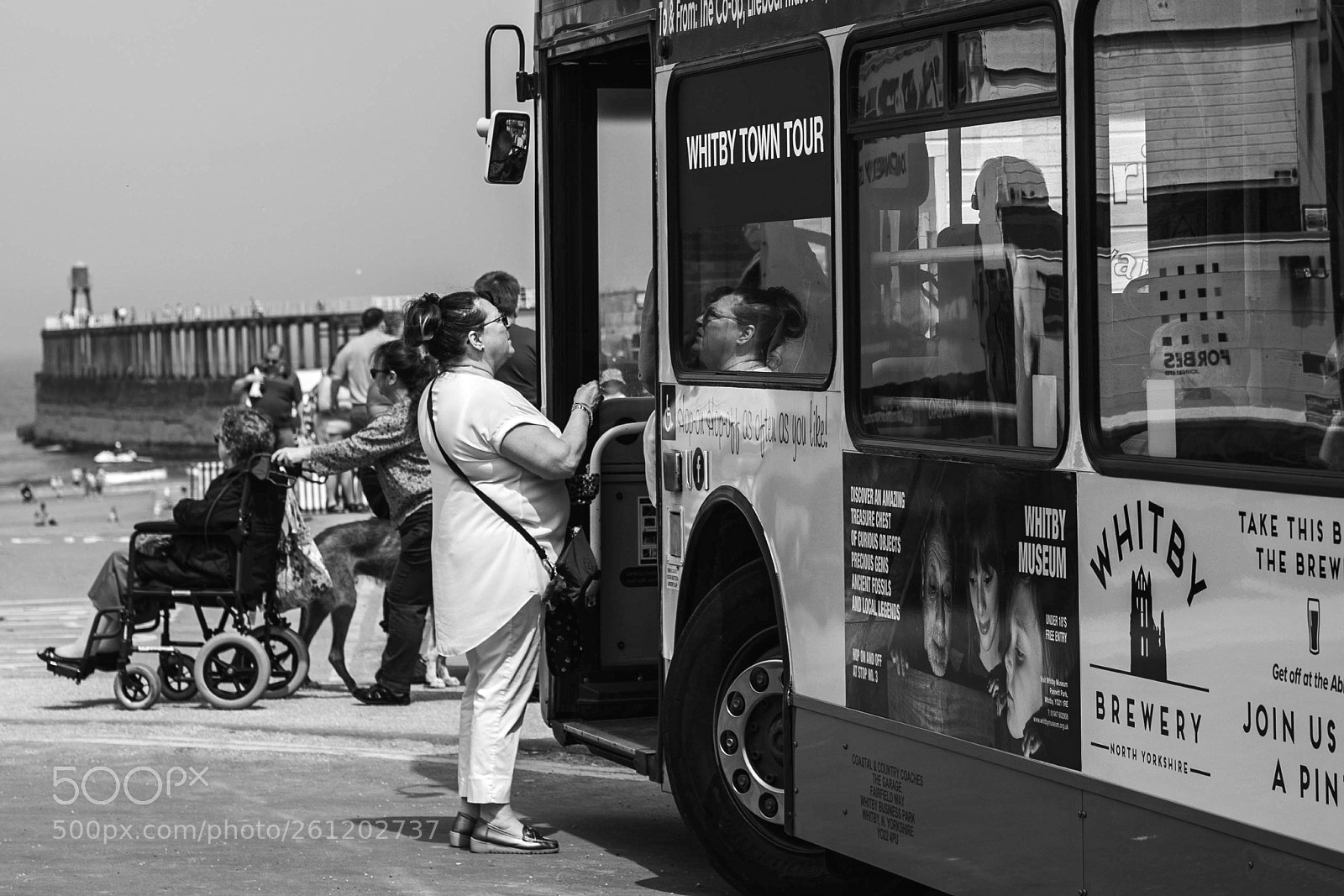 Nikon D810 sample photo. Untitled photography