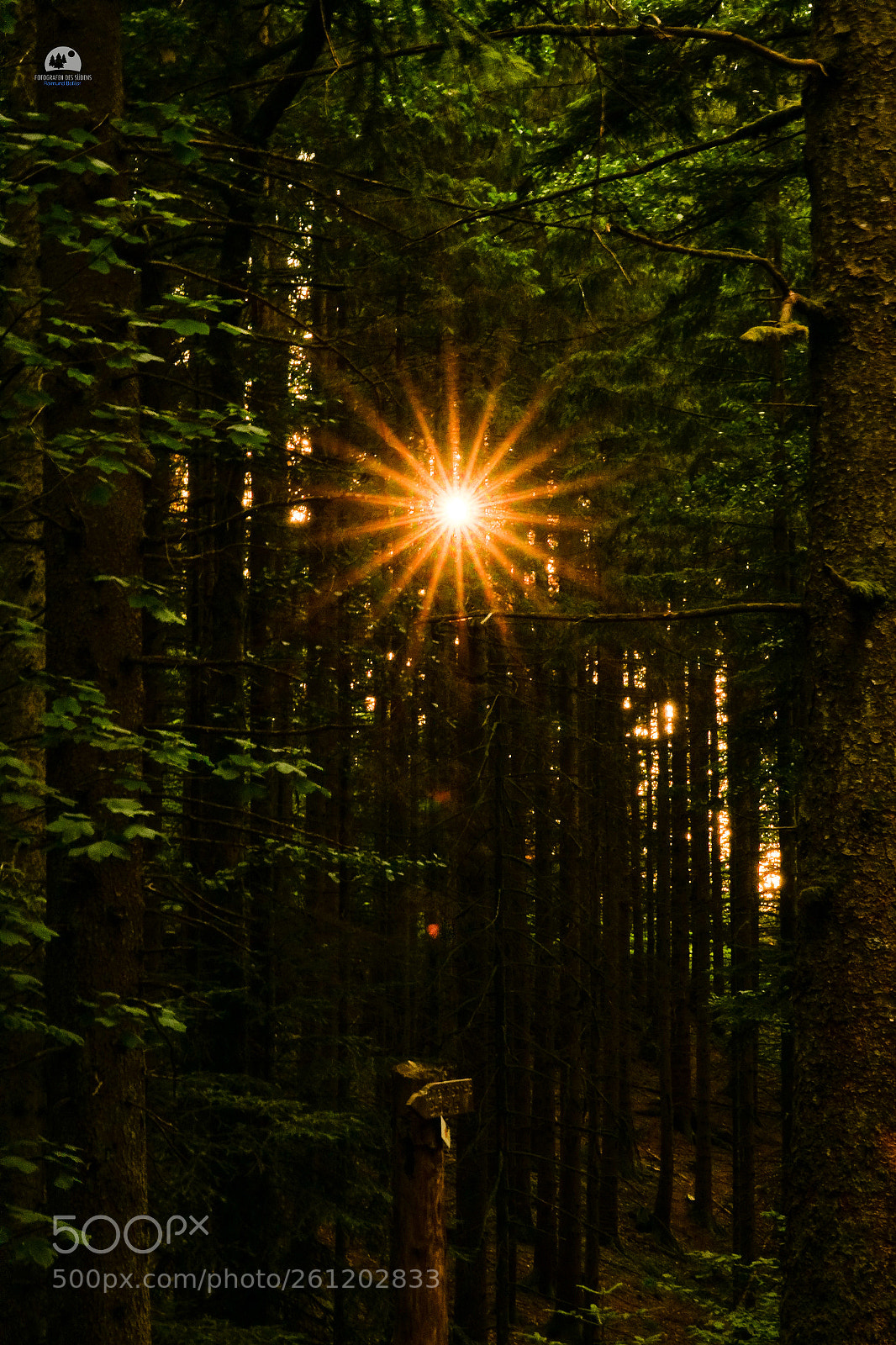 Sony Cyber-shot DSC-RX10 III sample photo. Last sunrays photography