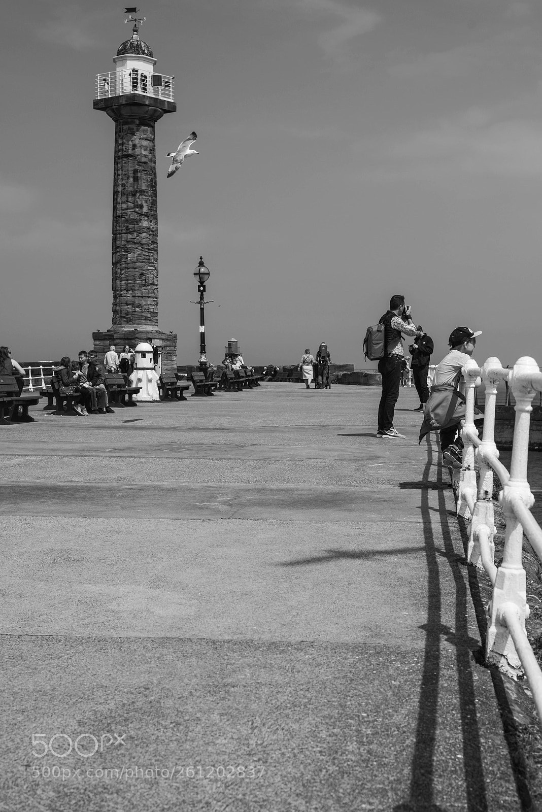 Nikon D810 sample photo. Untitled photography