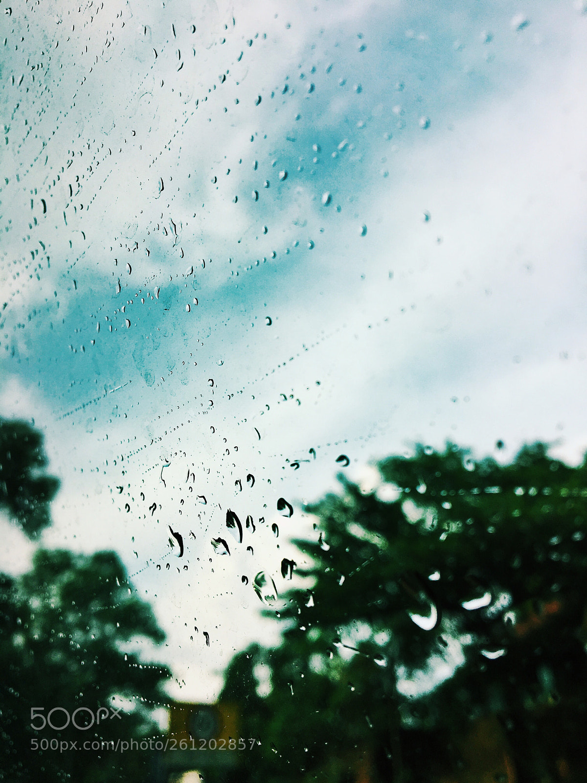 Apple iPhone 6s sample photo. Rainy days photography