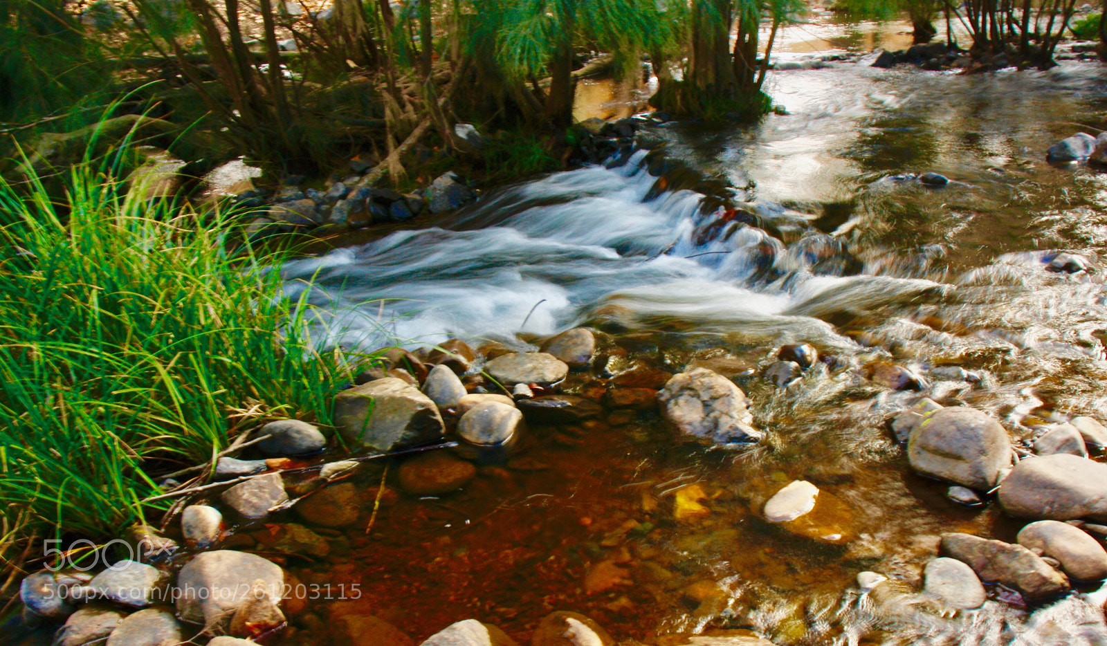 Canon EOS 1000D (EOS Digital Rebel XS / EOS Kiss F) sample photo. Cotter river photography