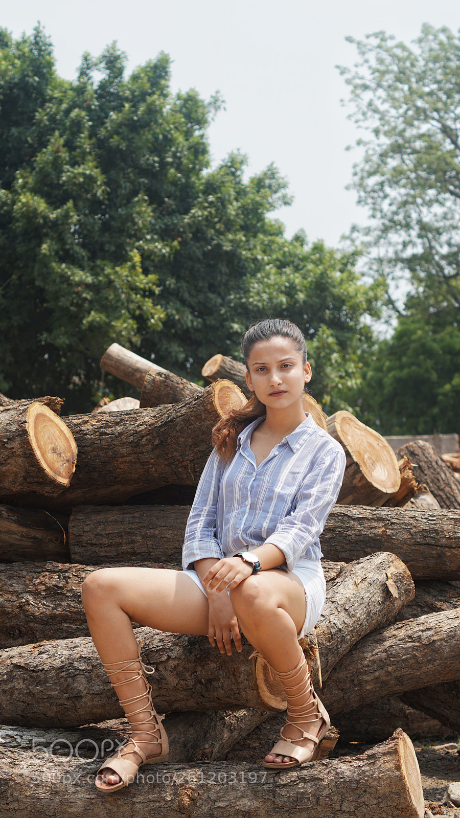 Sony a6500 sample photo. See bee sha photography