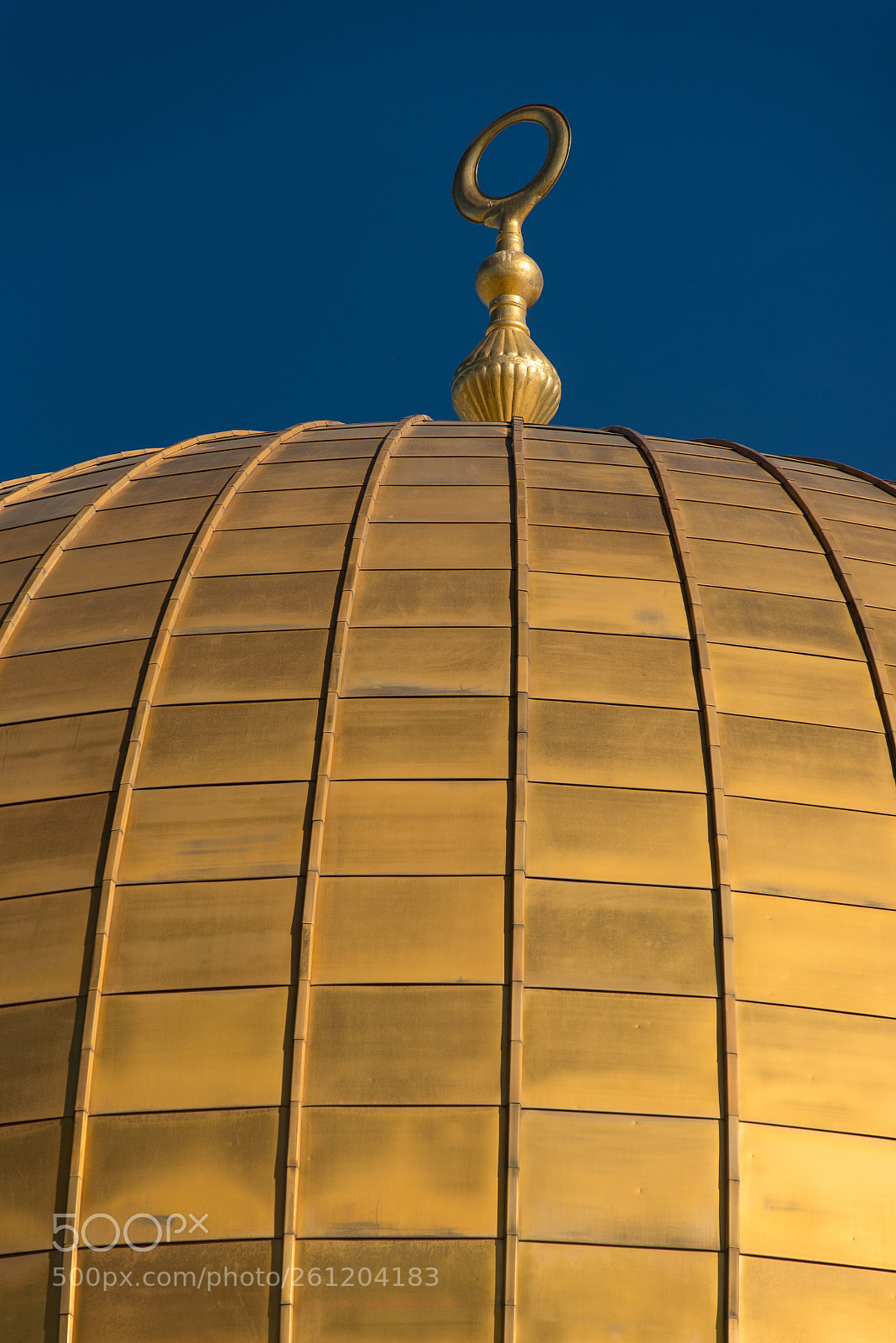 Nikon D750 sample photo. The dome of the photography