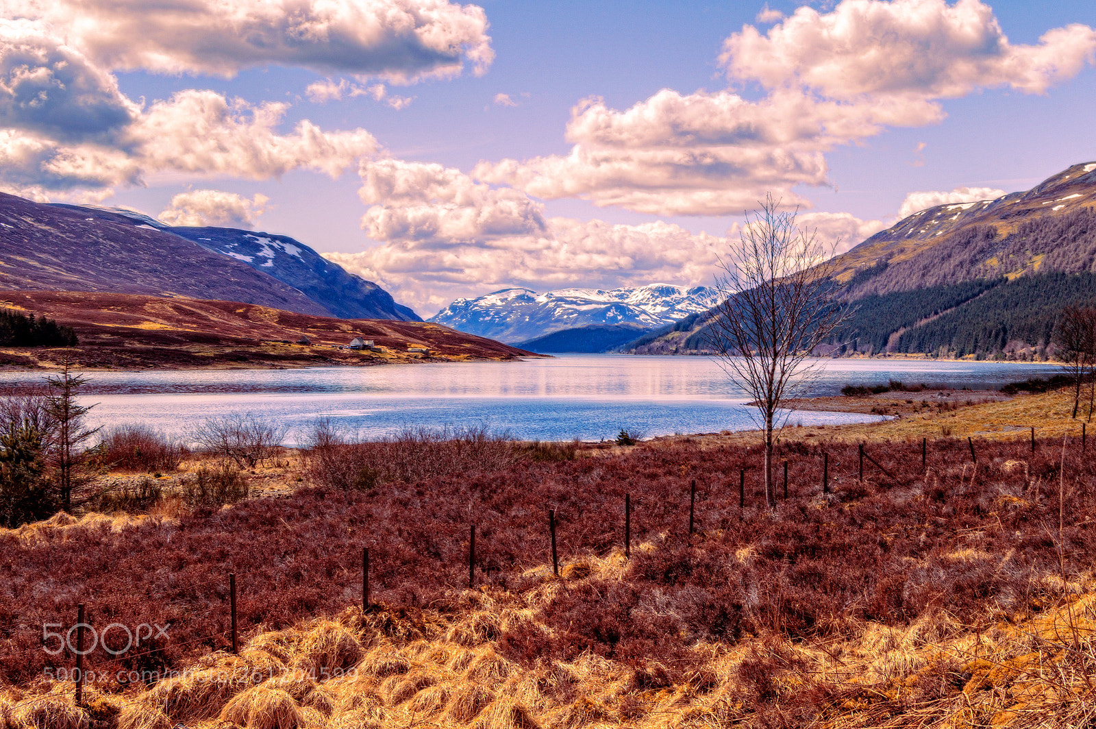 Nikon D3200 sample photo. The mountain king photography