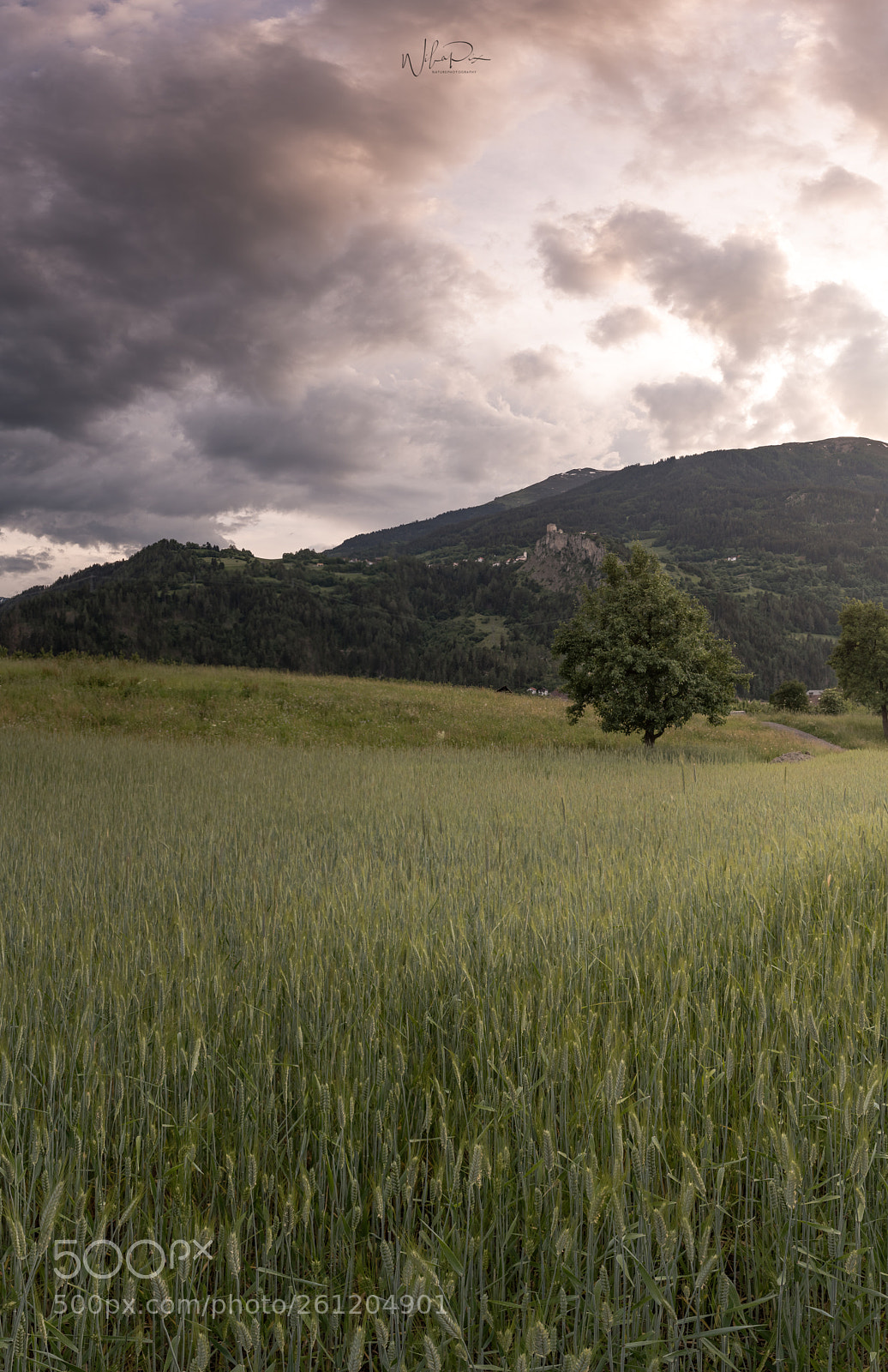 Nikon D500 sample photo. Evening at home photography