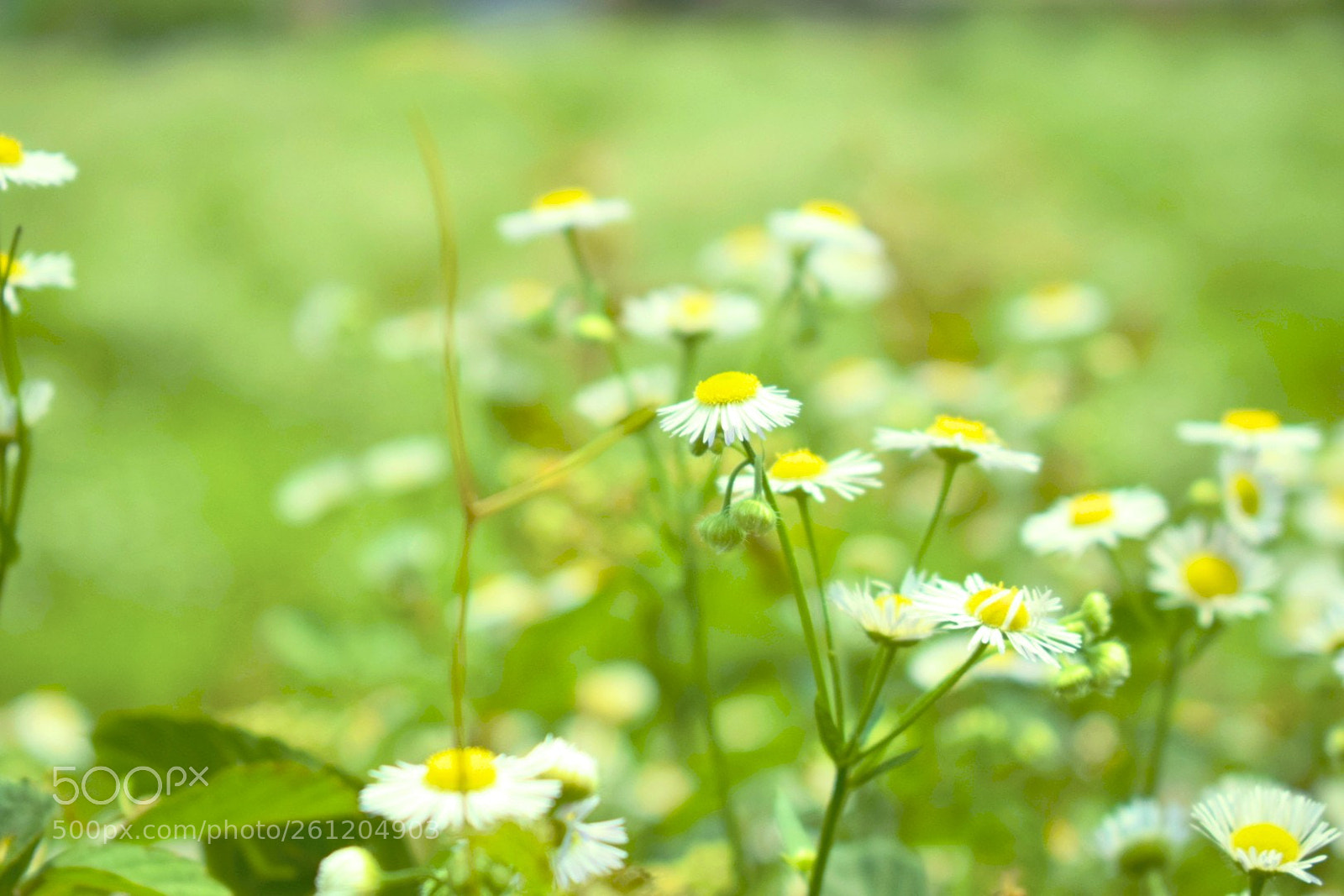 Nikon D5300 sample photo. Untitled photography