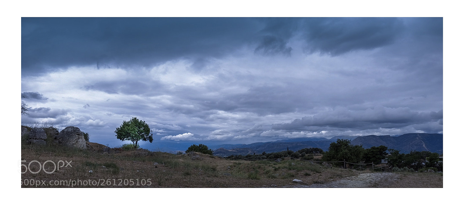 Fujifilm X-T1 sample photo. Single tree photography