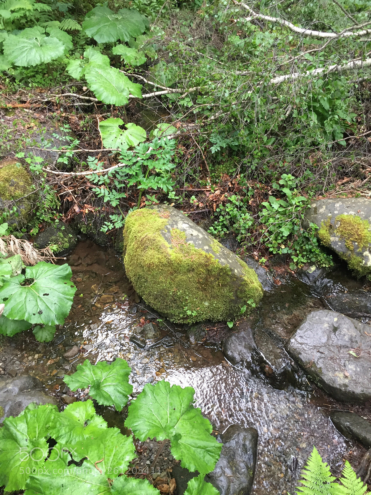 Apple iPhone 6 sample photo. Stones photography